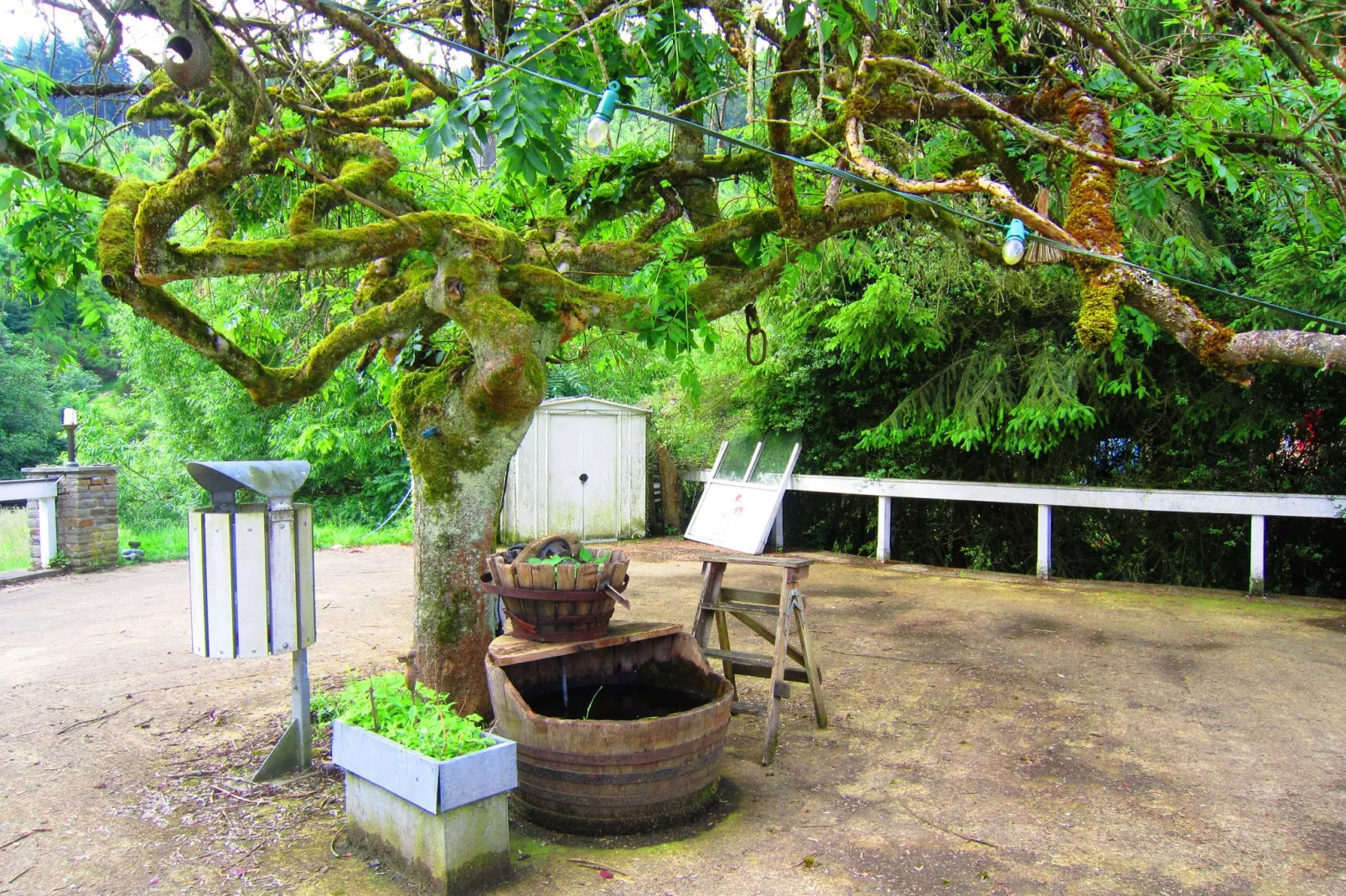 Le Relais du Moulin-Gardens summer
