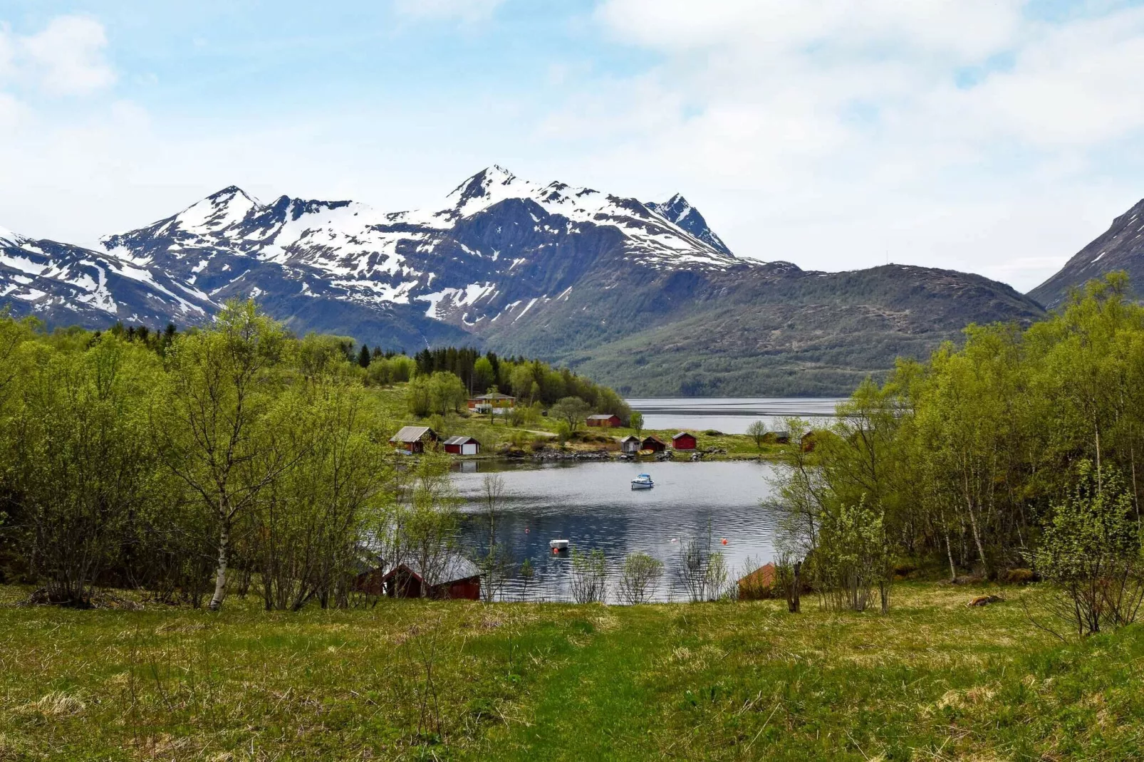 SØRFINNSET   71619-Not tagged