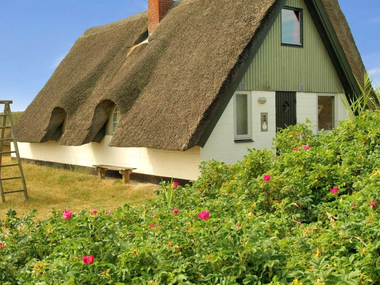 "Thorbjörn" -  from the sea-Drinnen