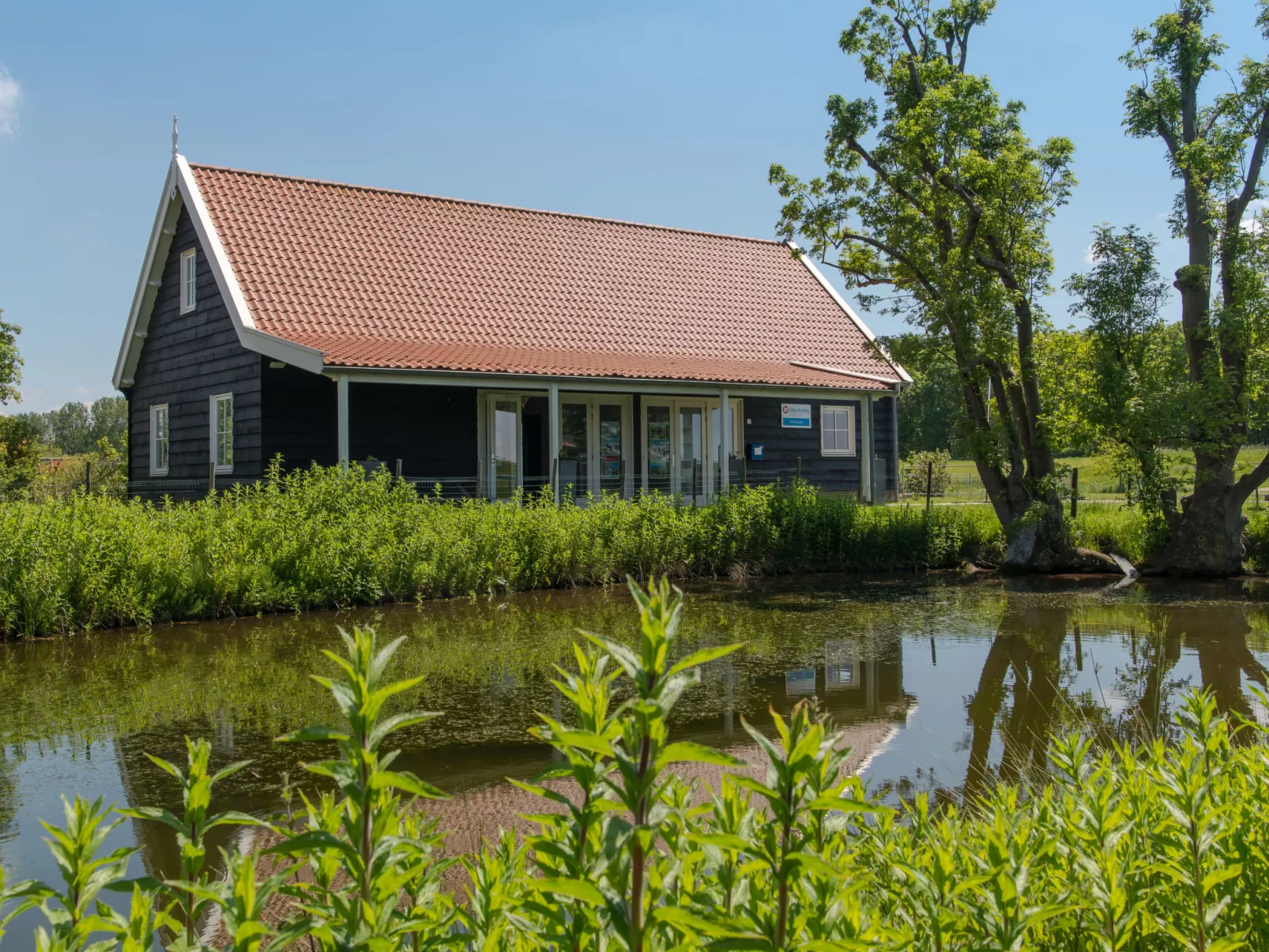 Vakantiehuis Ruisweg 56-Draußen