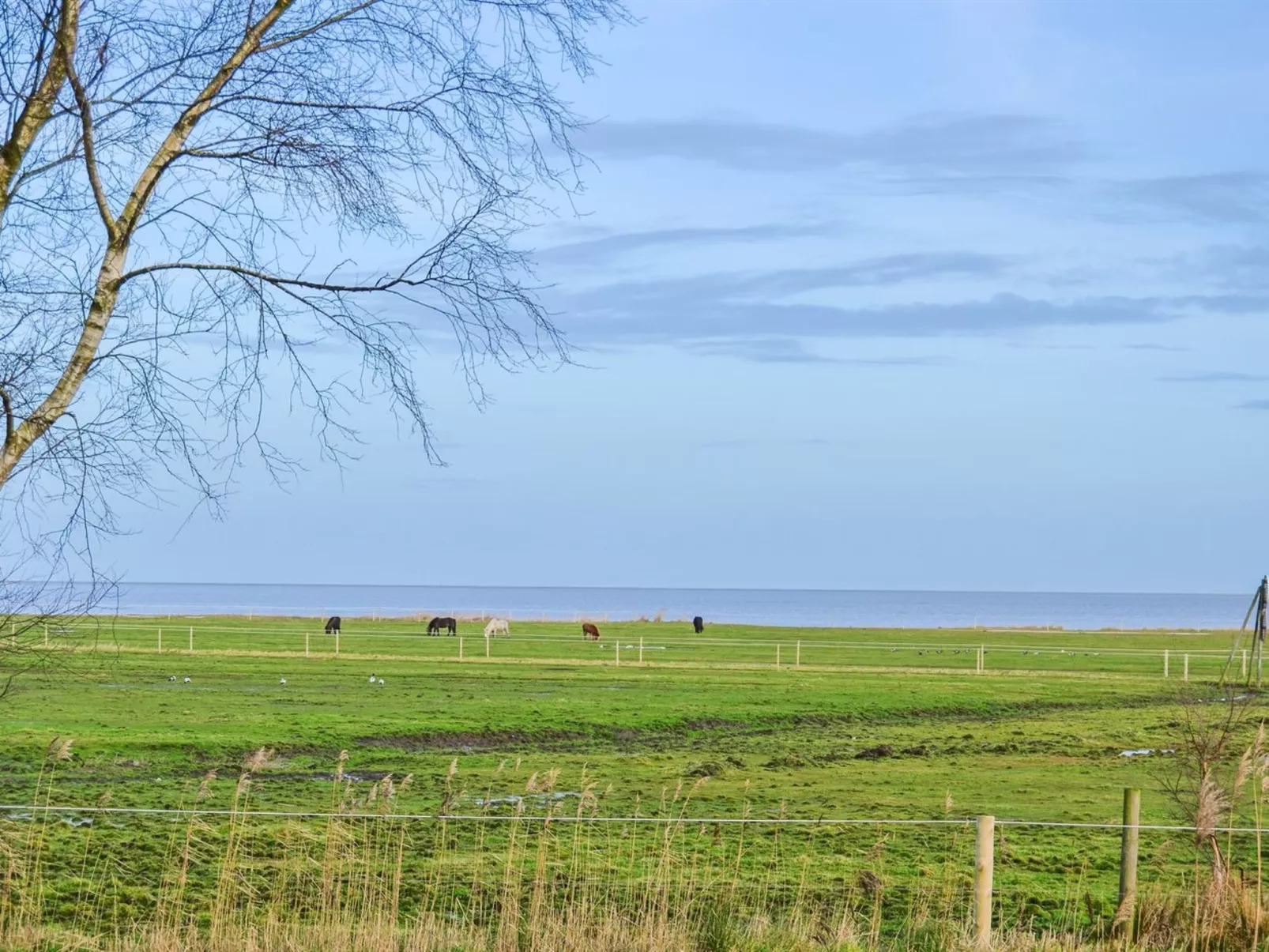 "Asfrid" - 3.5km from the sea-Outside