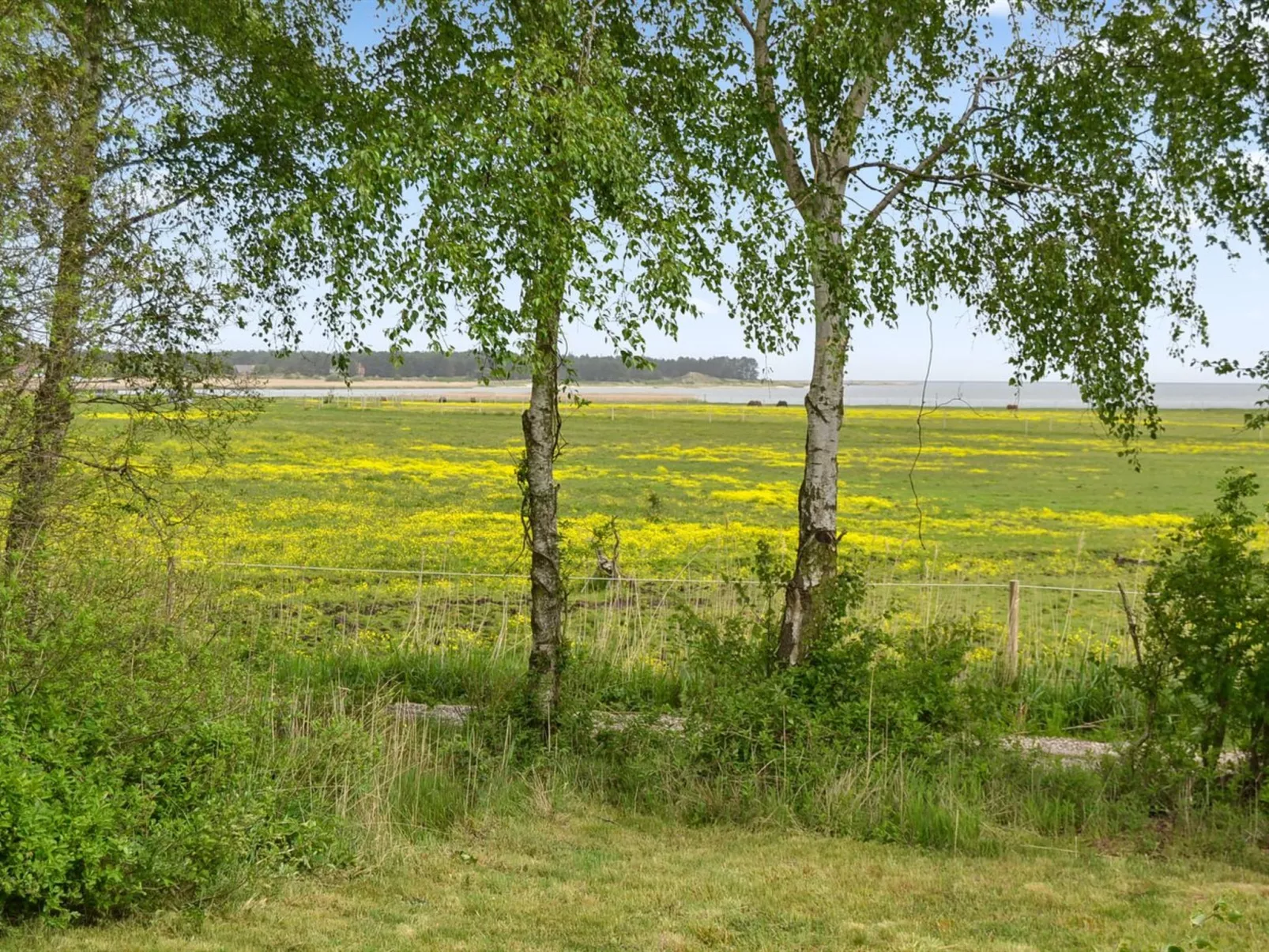 "Asfrid" - 3.5km from the sea-Outside