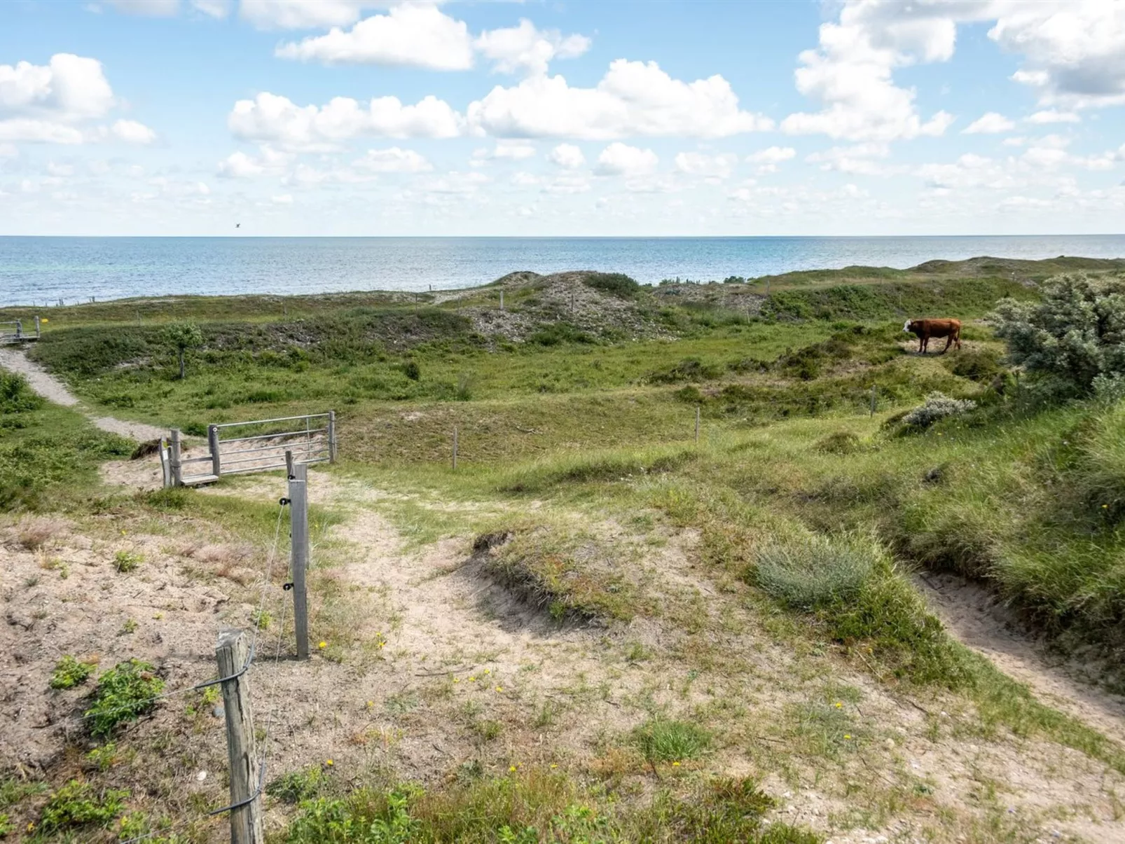 "Lisbeth" - 400m from the sea-Draußen