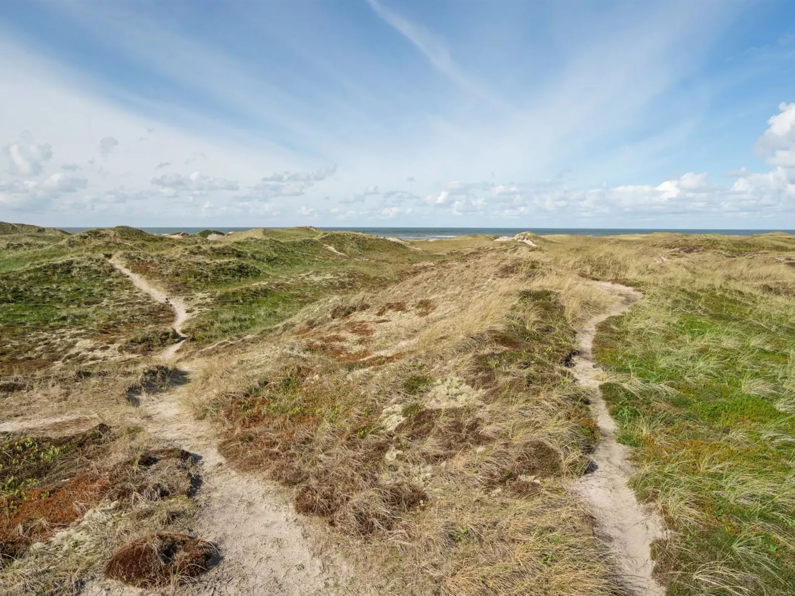 "Ewy" - 300m from the sea-Outside