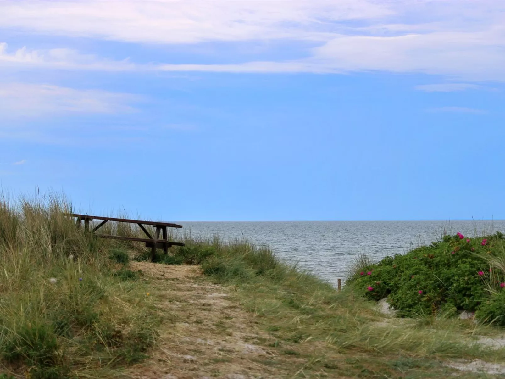"Berndt" - 50m from the sea-Outside