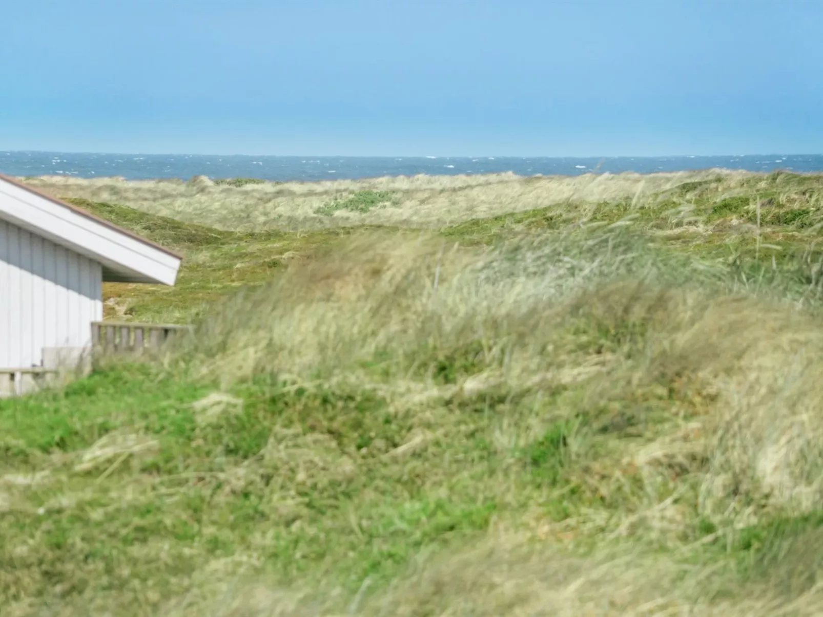 "Horsten" - 350m from the sea-Outside