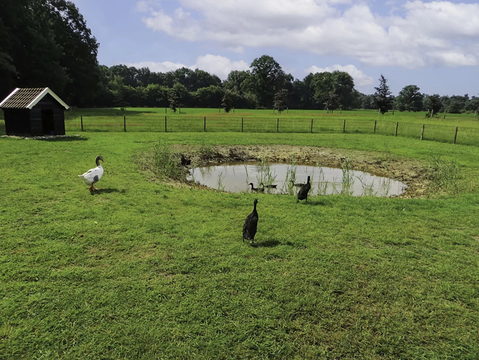 Familieboerderij-Dehors