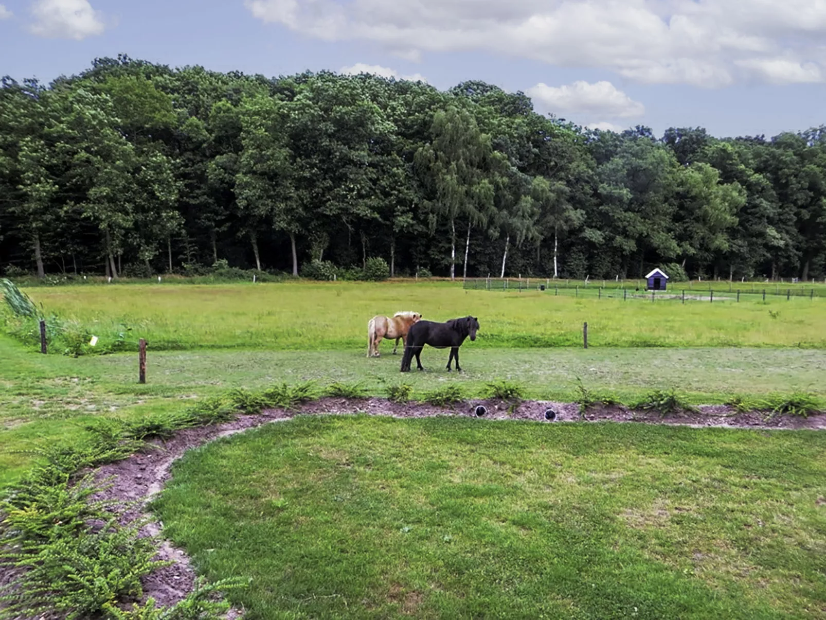 Familieboerderij-Dehors