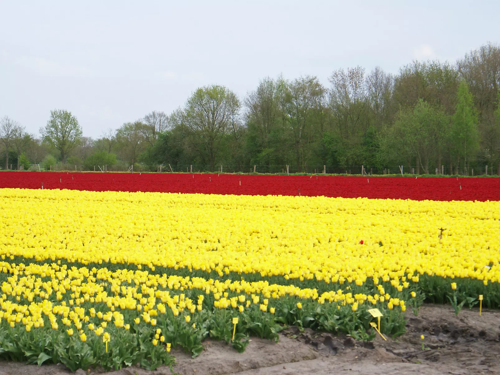 Onder De Eiken-Outside