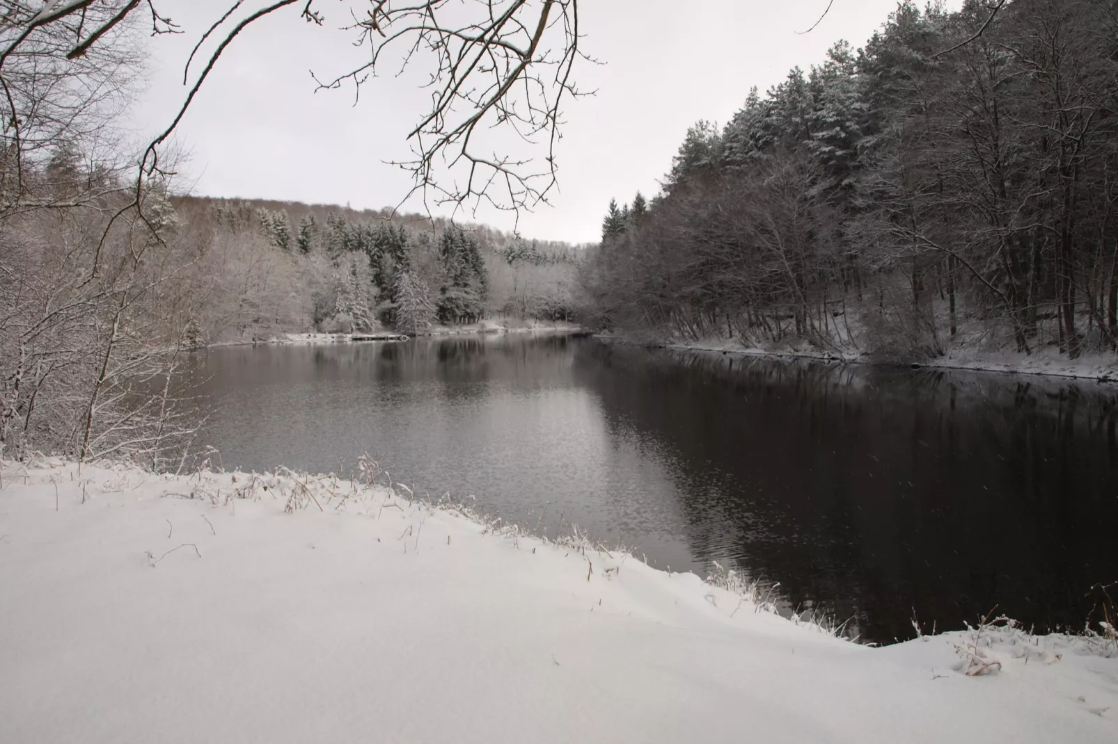 La Schwingmuhle-Garden winter