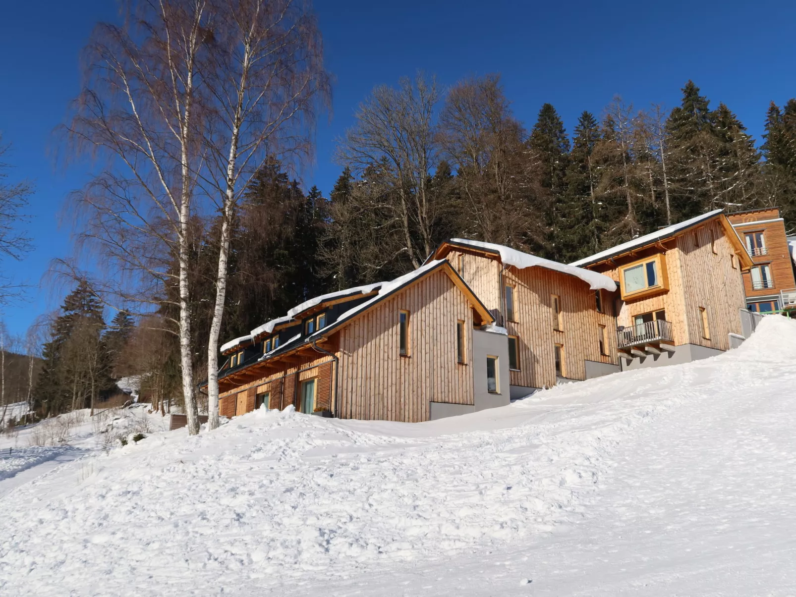 Ski-In Ski-Out Mountain Duplex Portášky3-Outside
