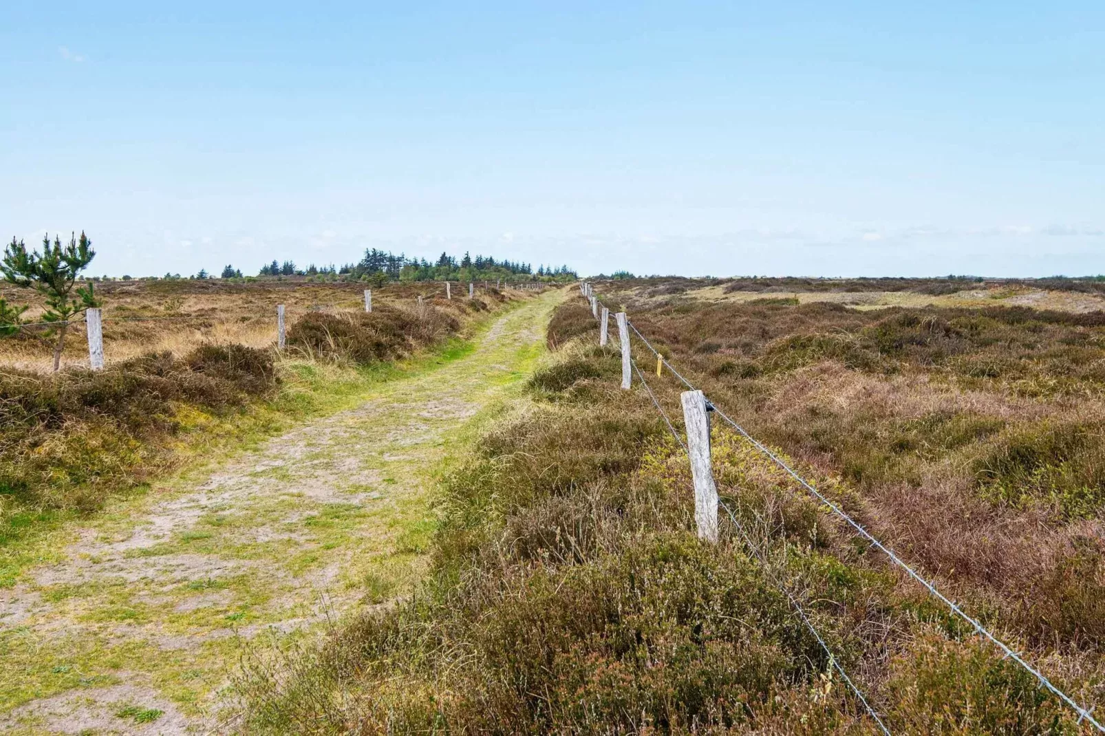 14 person holiday home in Rømø-Not tagged