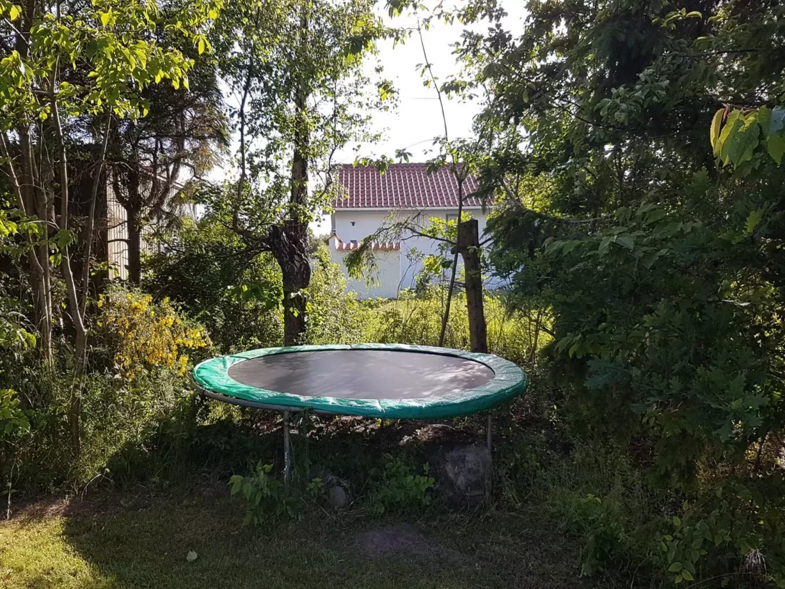 "Golubinka" - 500m from the sea-Outside