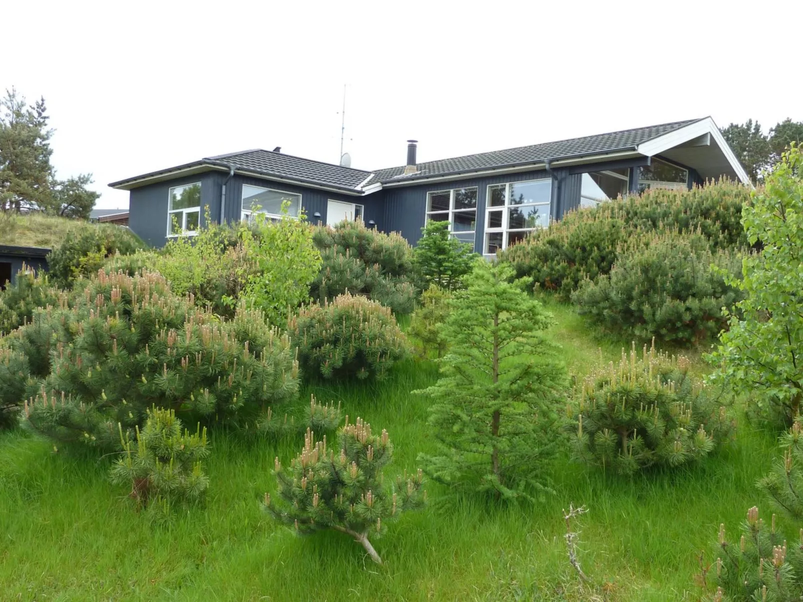 "Farah" - 275m from the sea-Outside