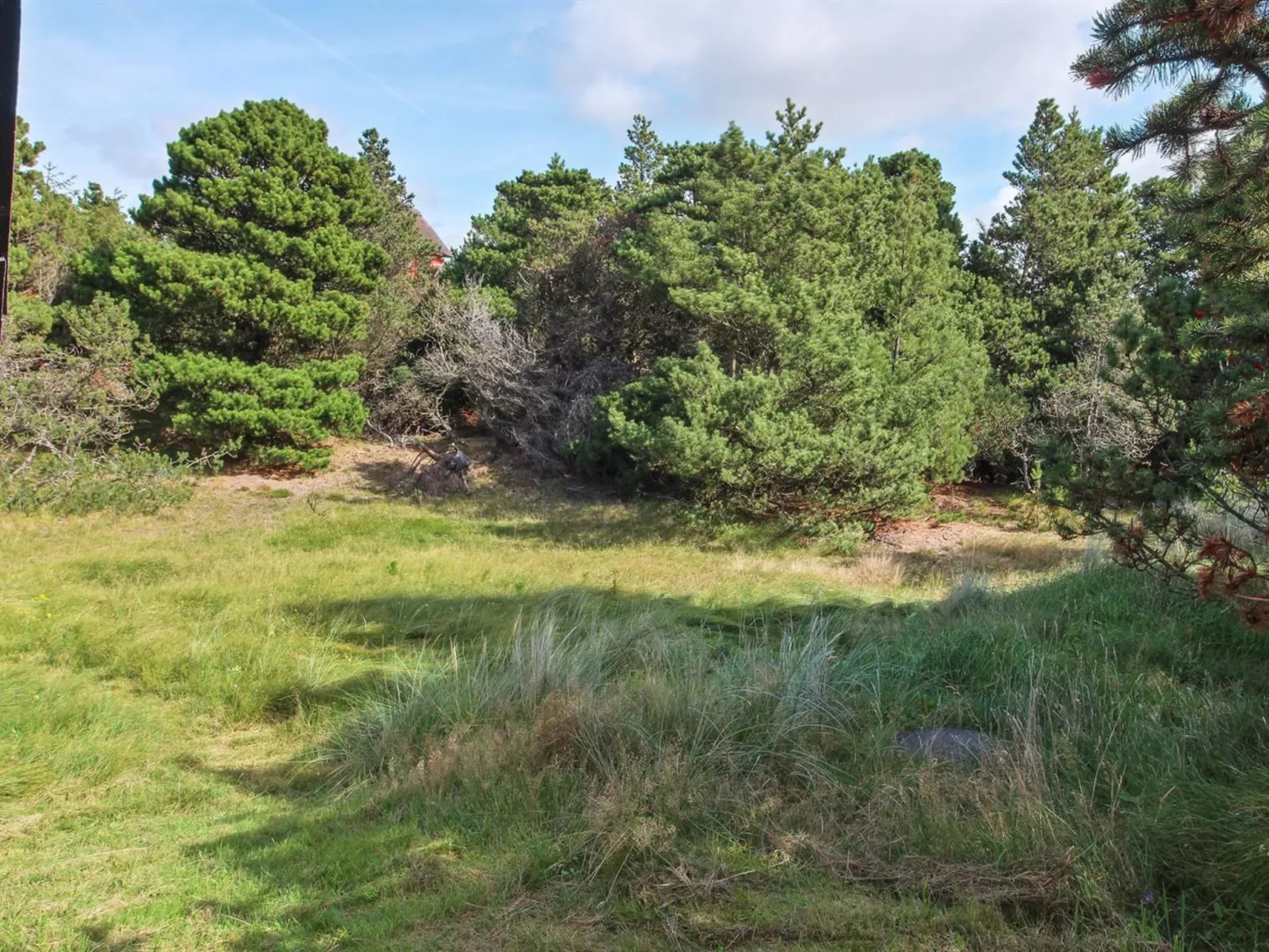 "Eliene" - 500m from the sea-Outside
