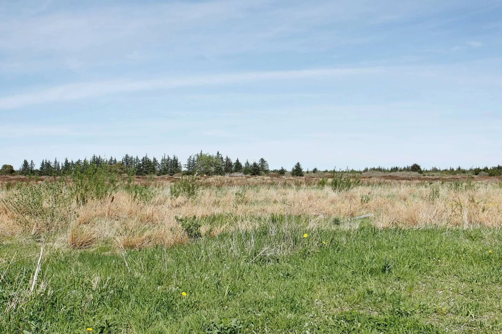 24 person holiday home in Brovst-View