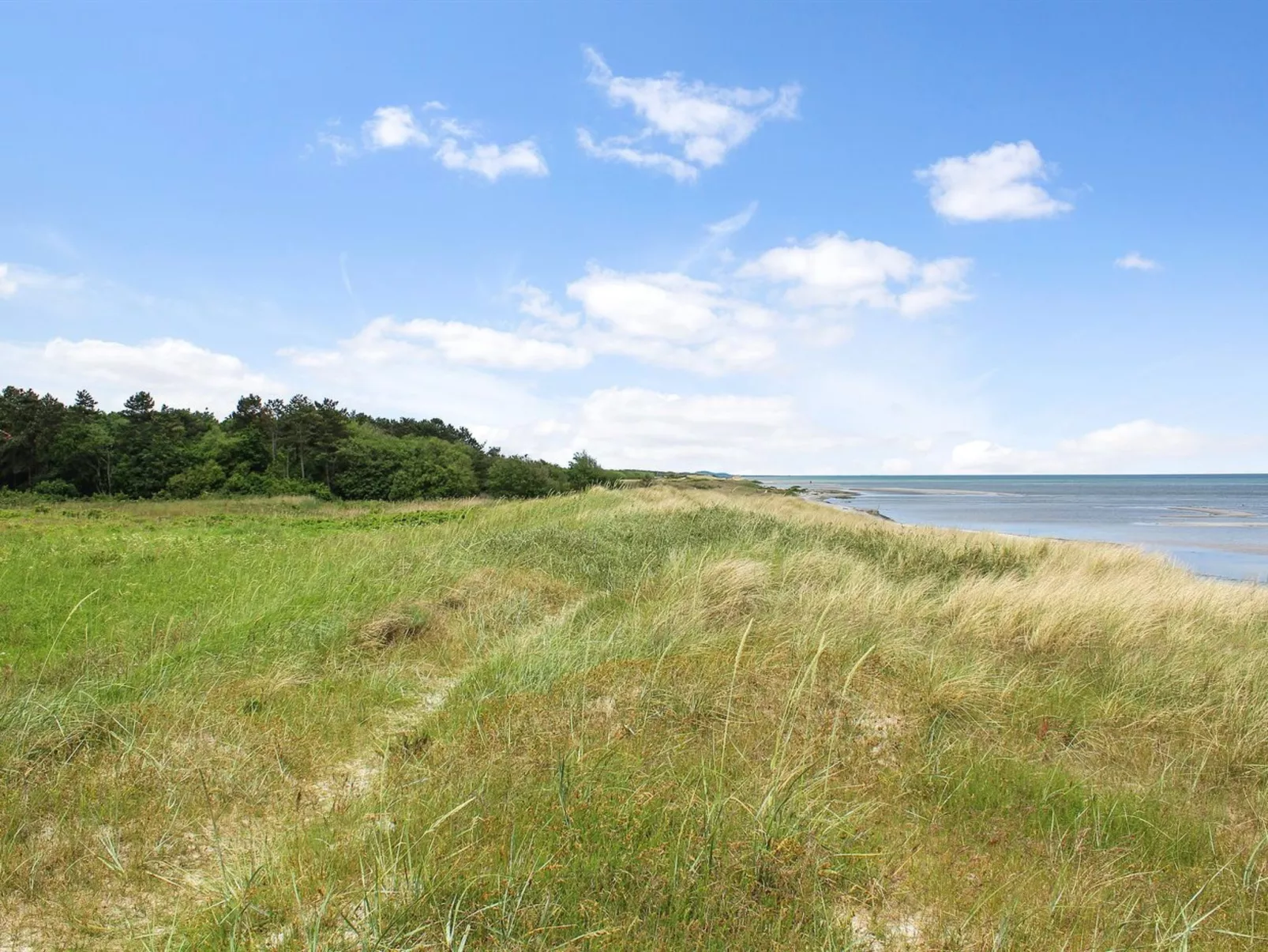 "Amdi" - 100m from the sea-Dehors