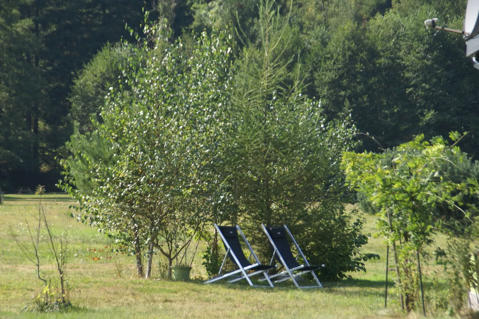 Maison de vacances - TURQUESTEIN BLANCRUPT-Gardens summer