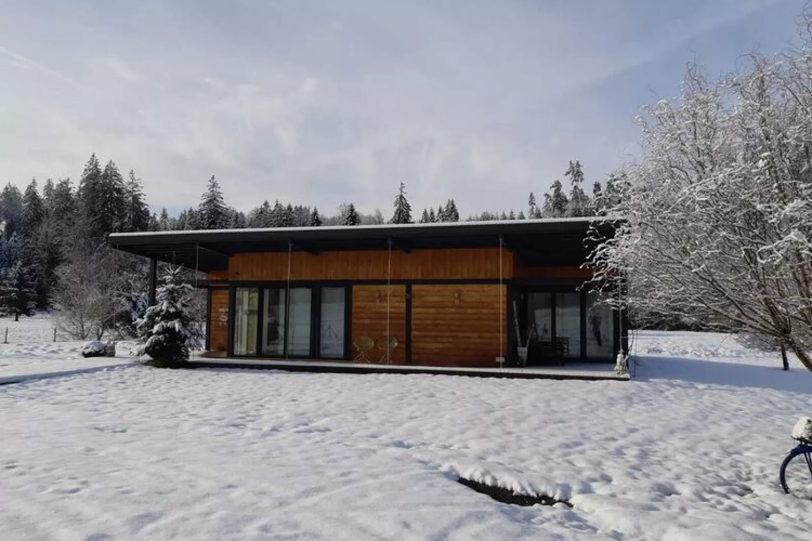 Maison de vacances - TURQUESTEIN BLANCRUPT-View winter