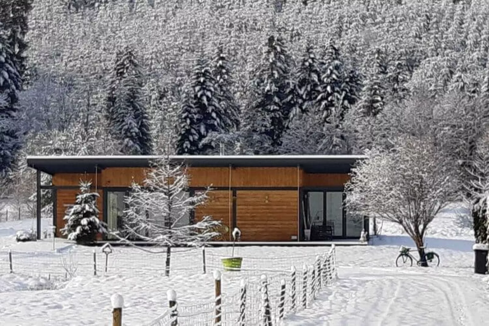 Maison de vacances - TURQUESTEIN BLANCRUPT-View winter