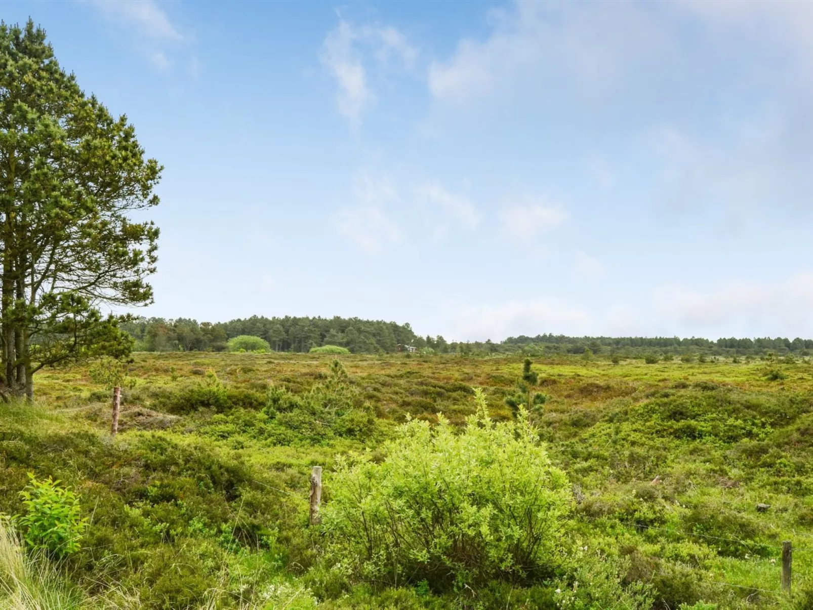 "Alfwin" - 3km from the sea-Outside