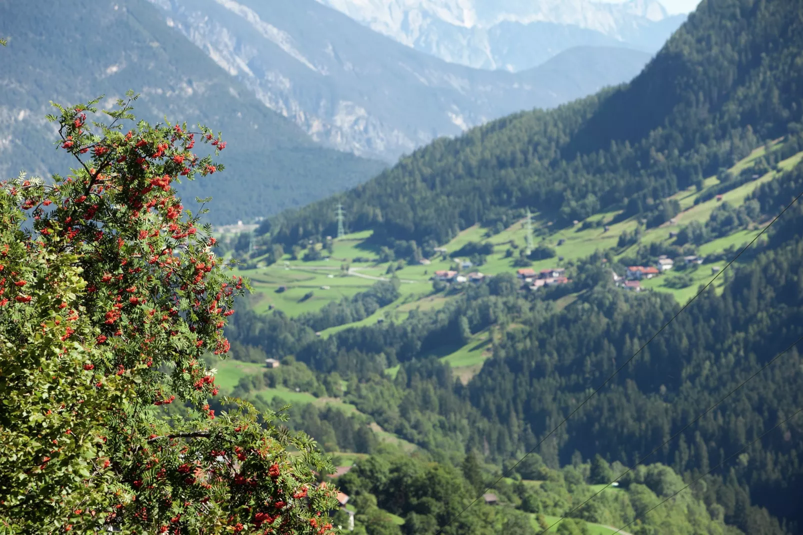 Neururer-Areas summer 5km