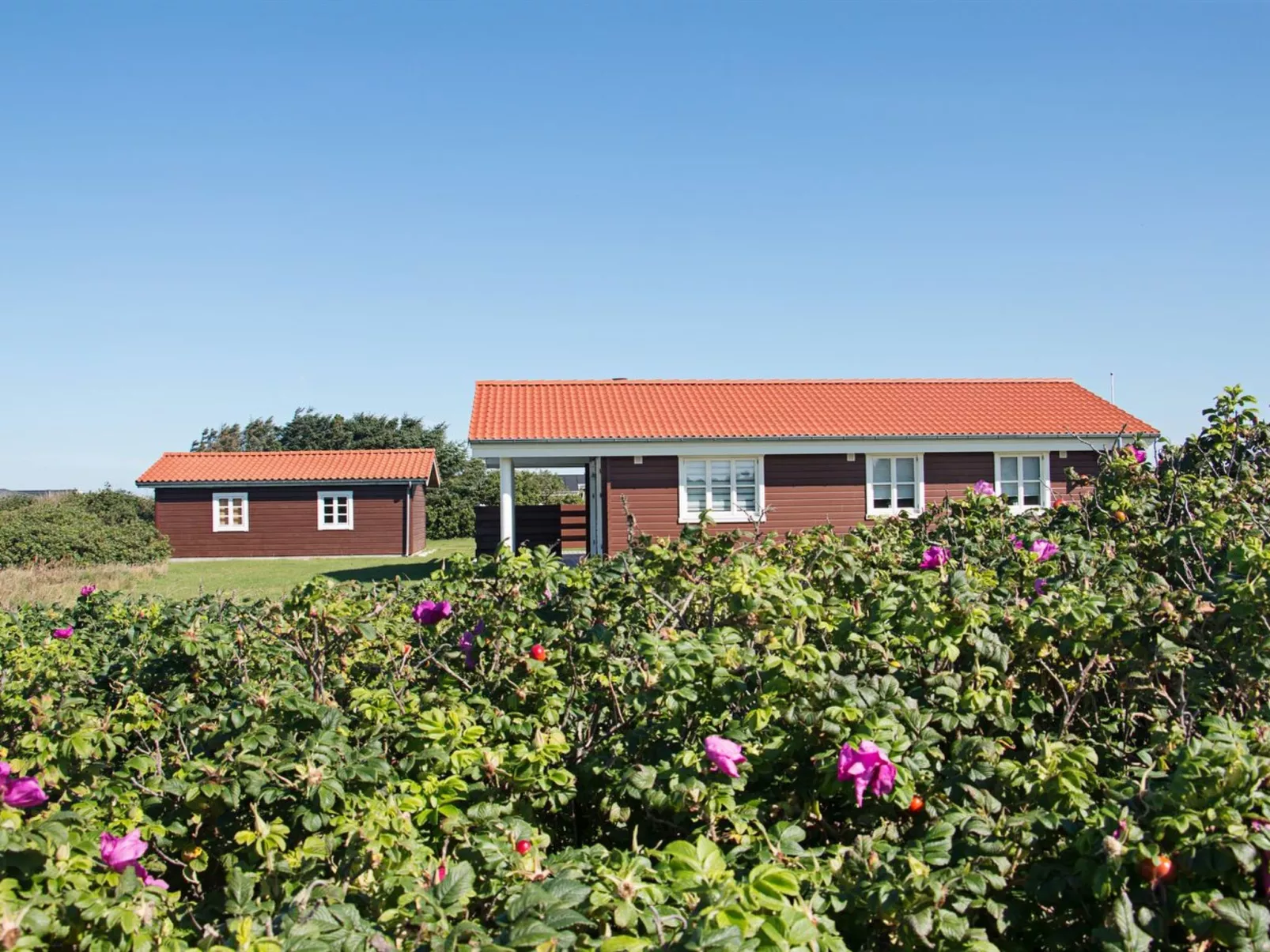 "Armgard" - 300m from the sea-Outside