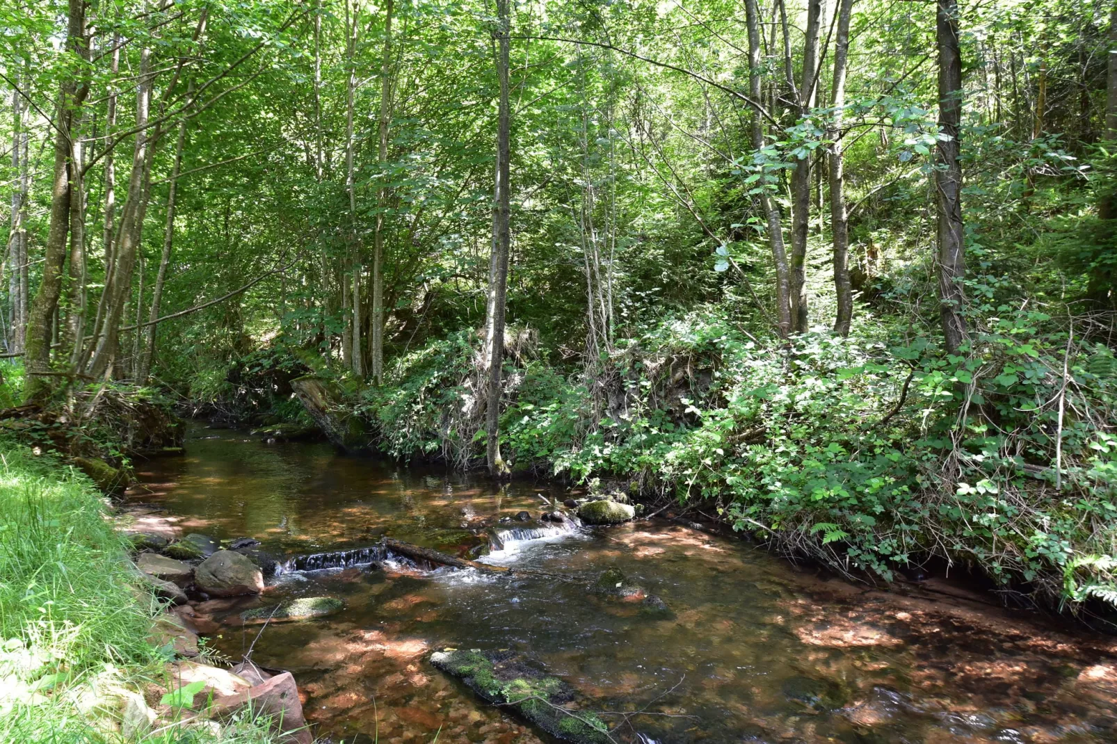Chalet - TURQUESTEIN-Gebiete Sommer 1 km