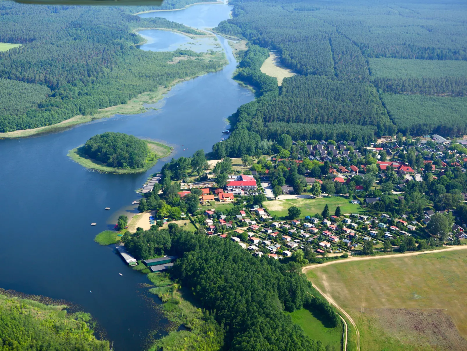 Seeschwalbe-Draußen