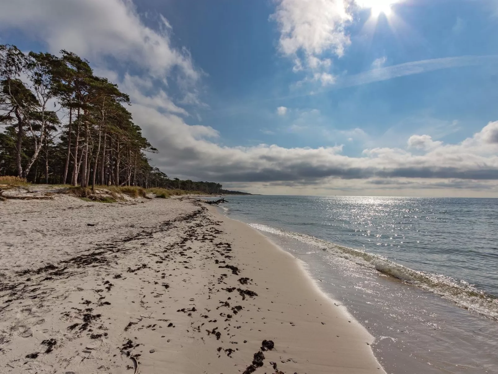 "Hildegerd" - 500m from the sea-Inside