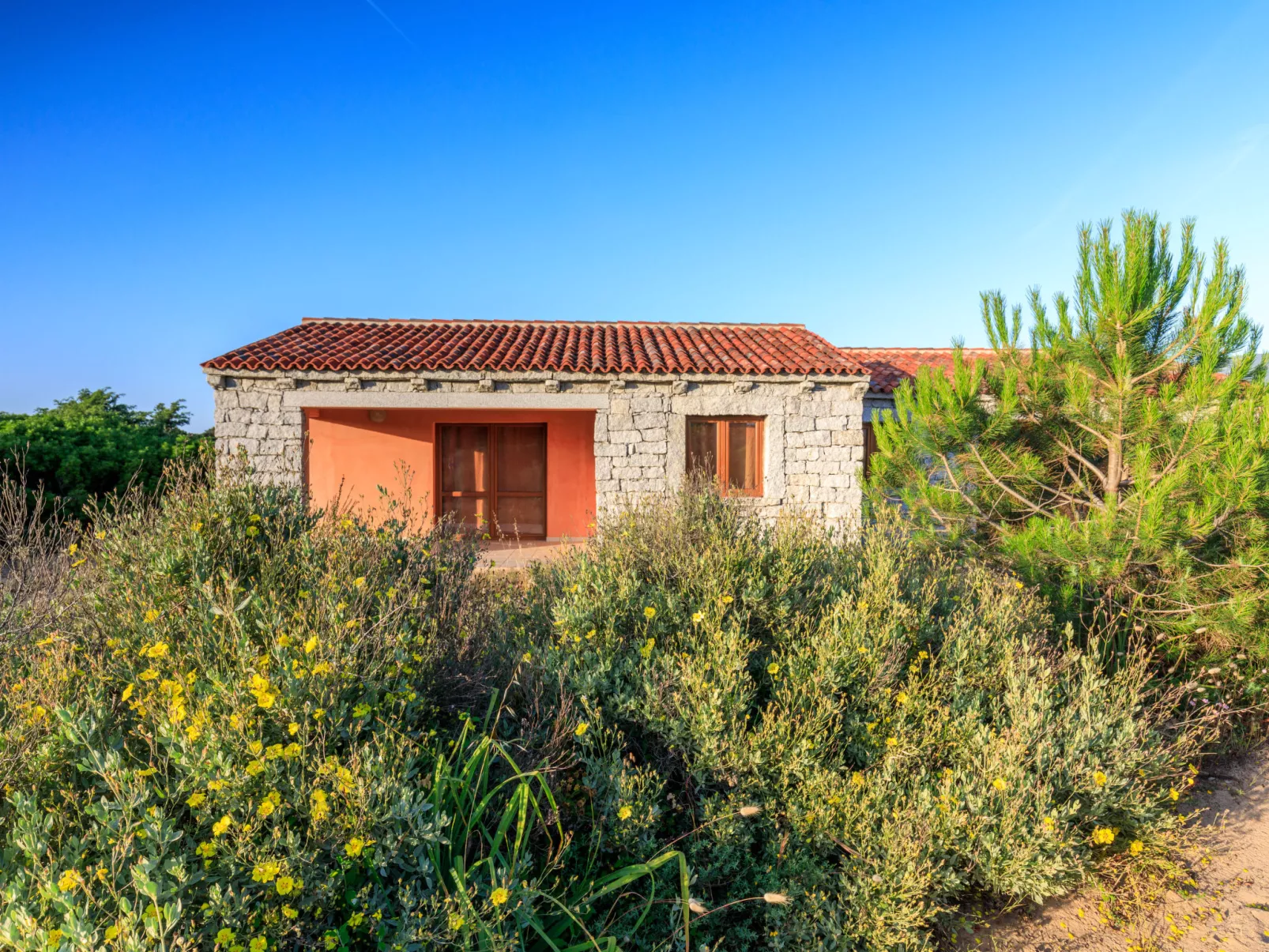 Mare di Ginepri (BAD115)-Outside