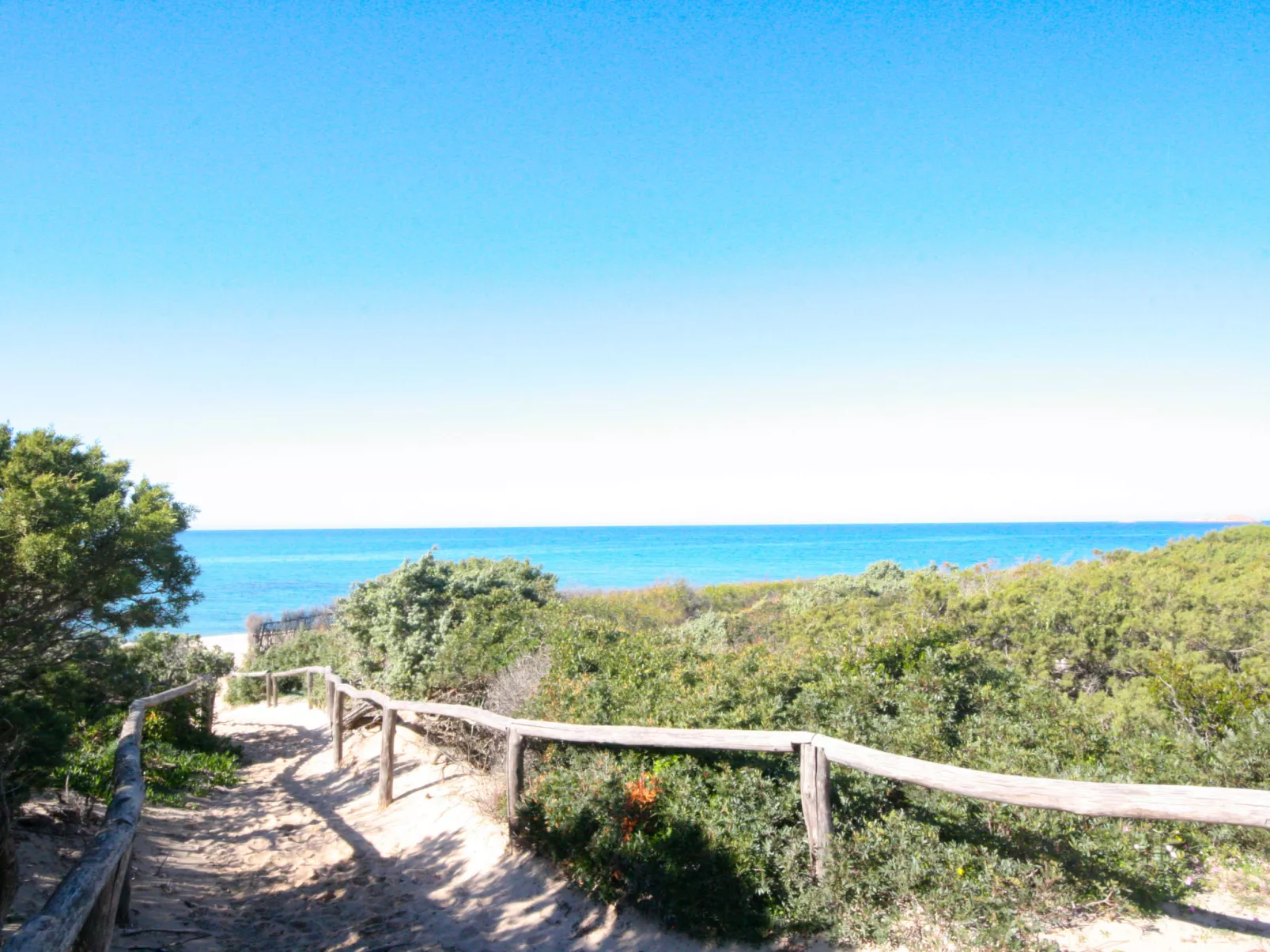 Mare di Ginepri (BAD115)-Area