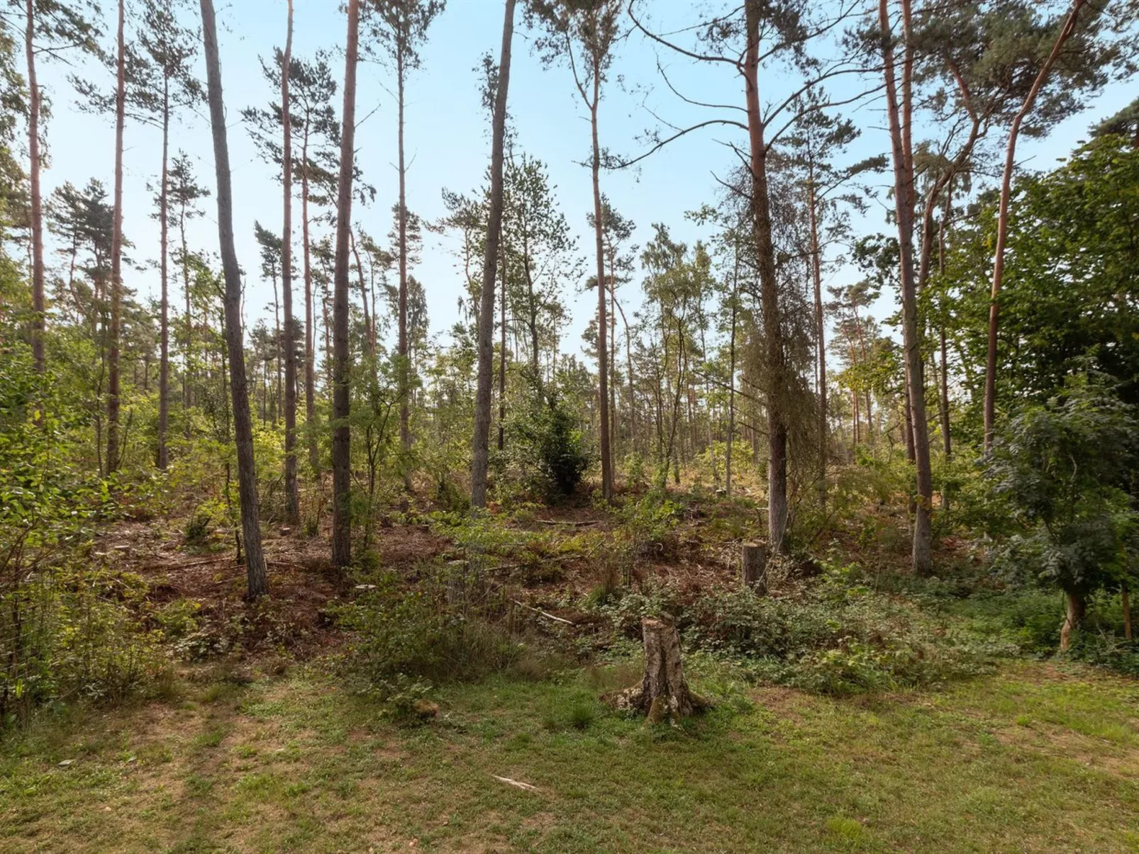 "Henri" - 800m from the sea-Draußen