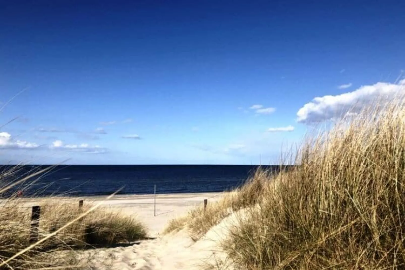 EG Links Haus 4 Nr 9-Gebiete Sommer 1 km