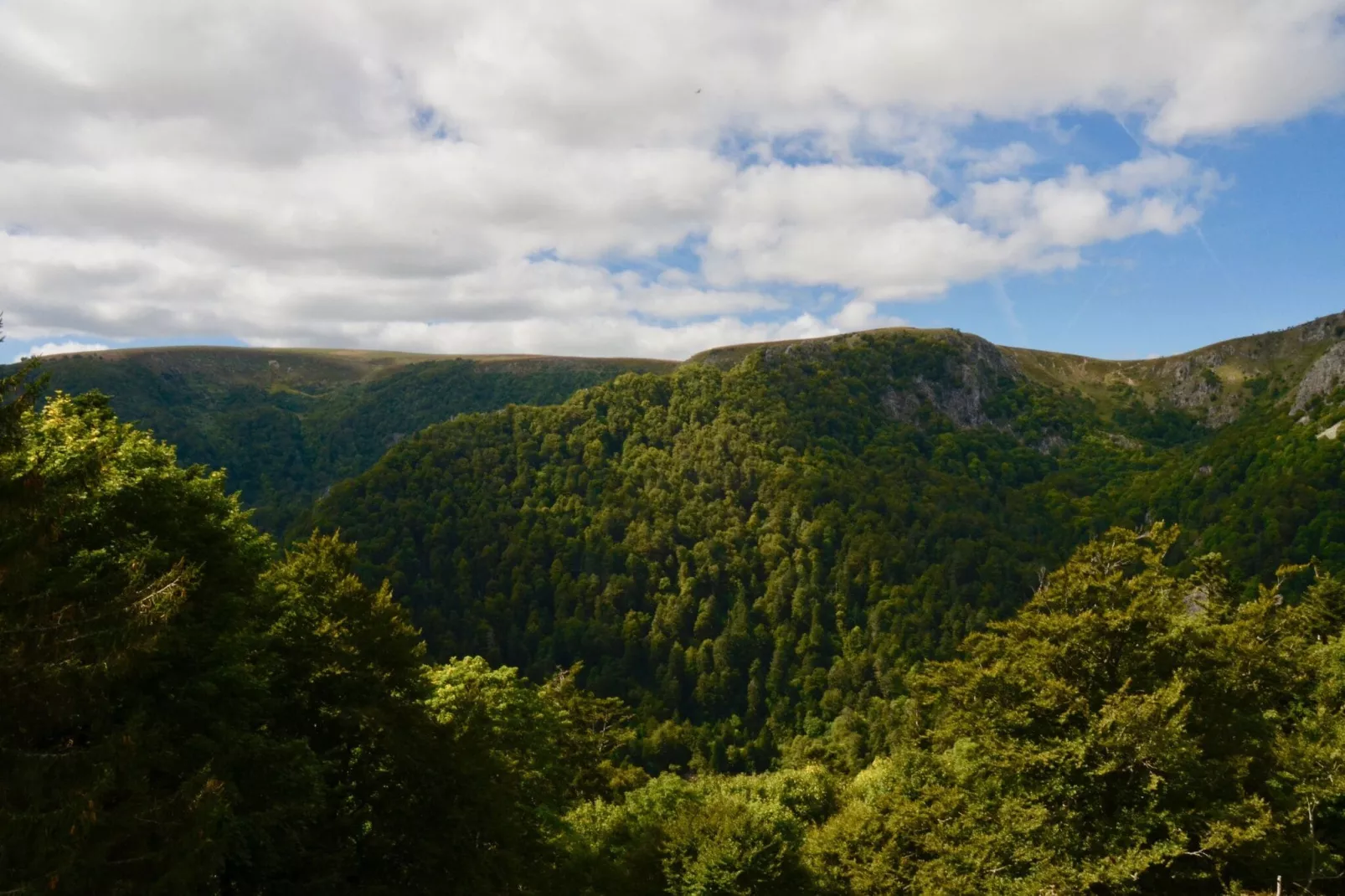 NOISETTE - beneden-Areas summer 20km