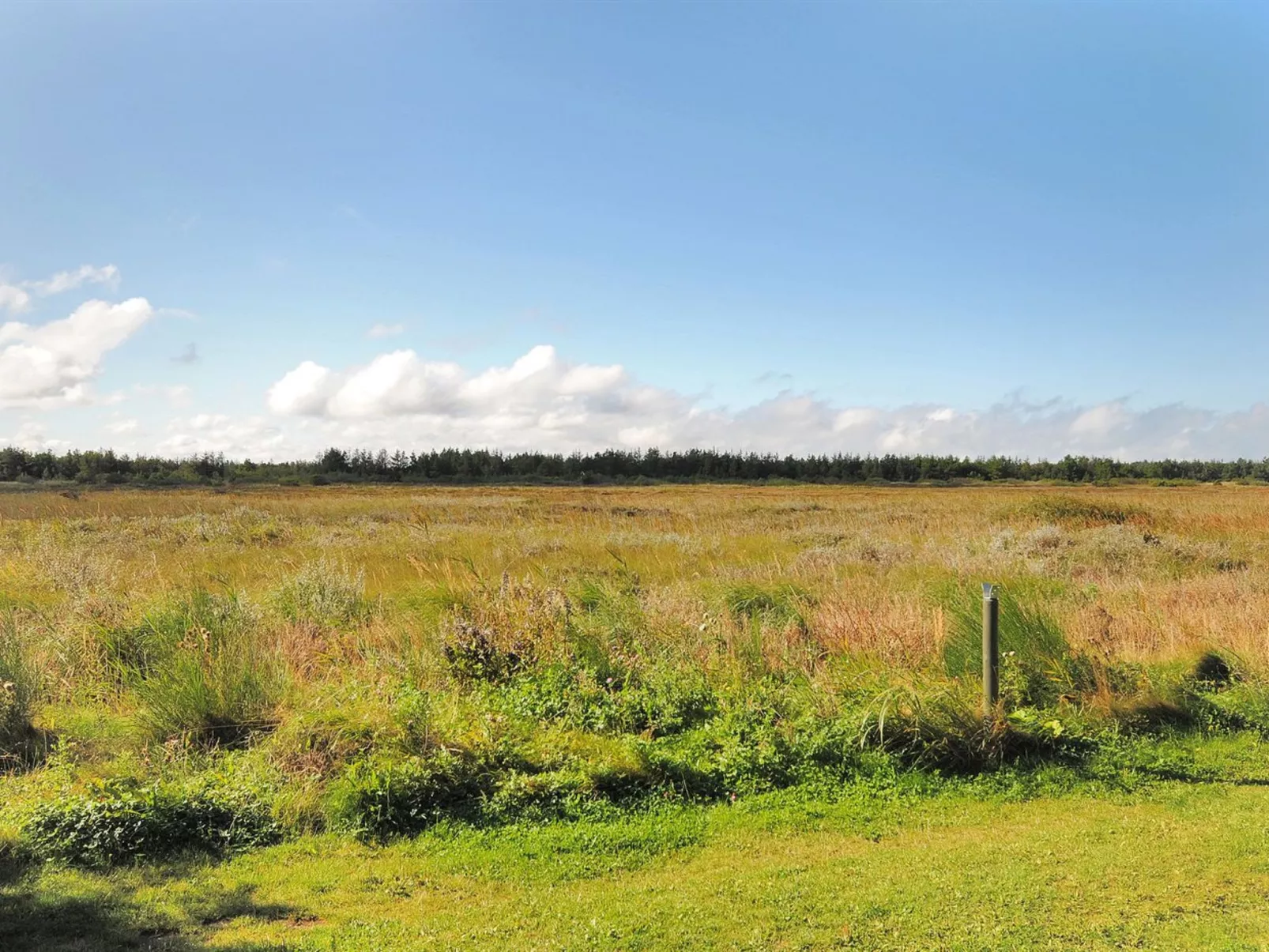 "Neven" - 900m from the sea-Draußen