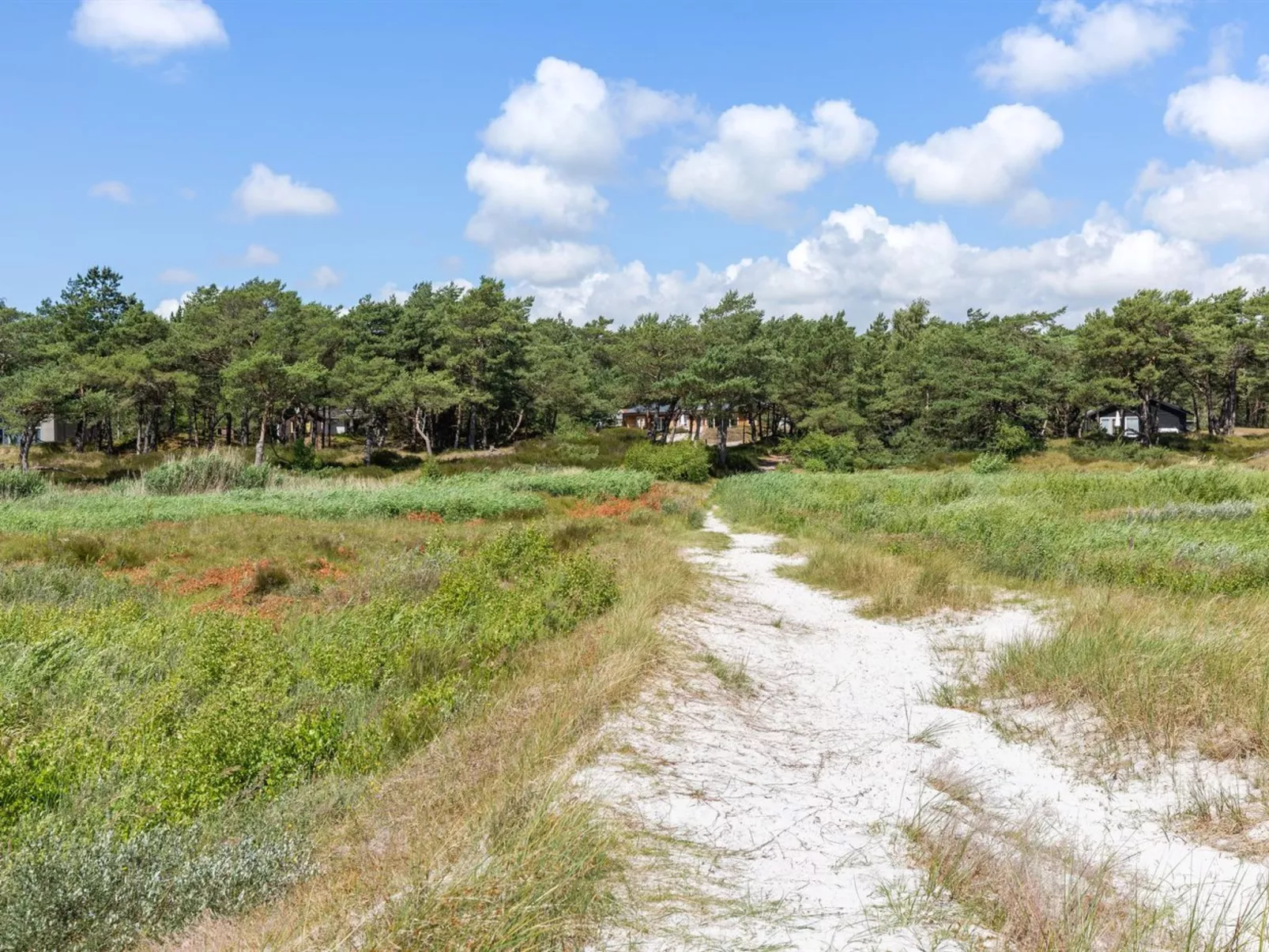"Melita" - 300m from the sea-Outside