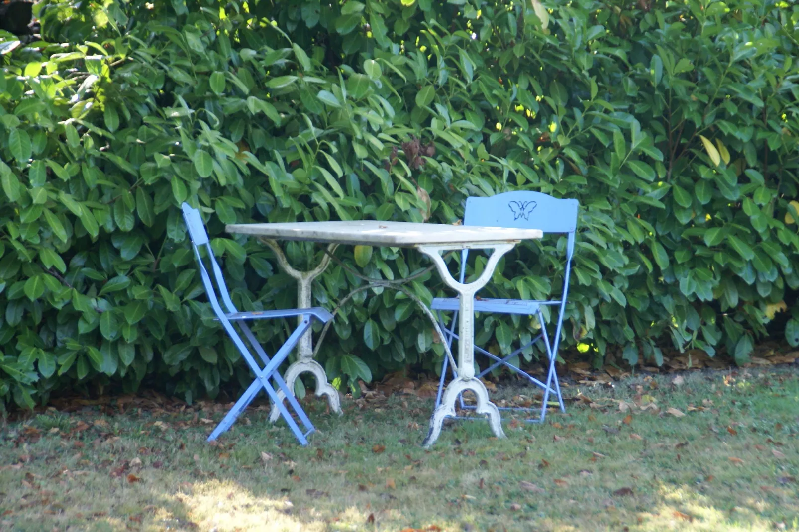 NOISETTE - beneden-Gardens summer