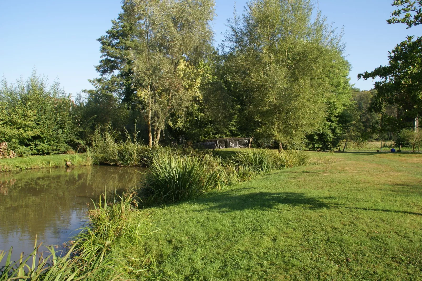 NOISETTE - beneden-Gardens summer