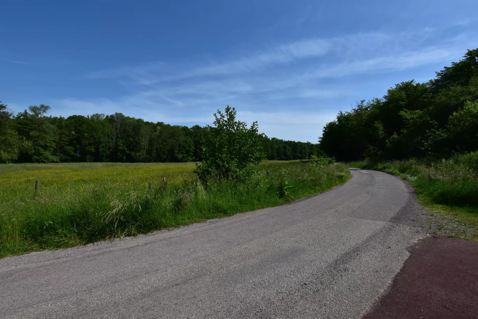 NOISETTE - beneden-View summer