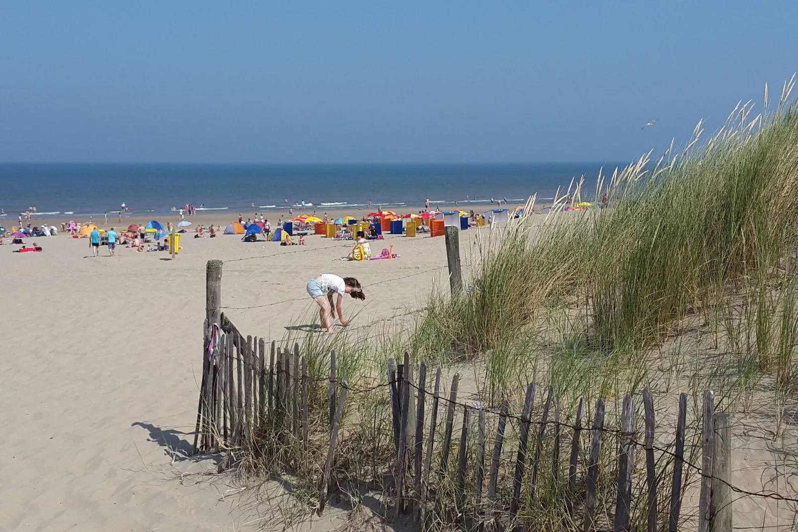 Walhalla aan Zee-Areas summer 1km