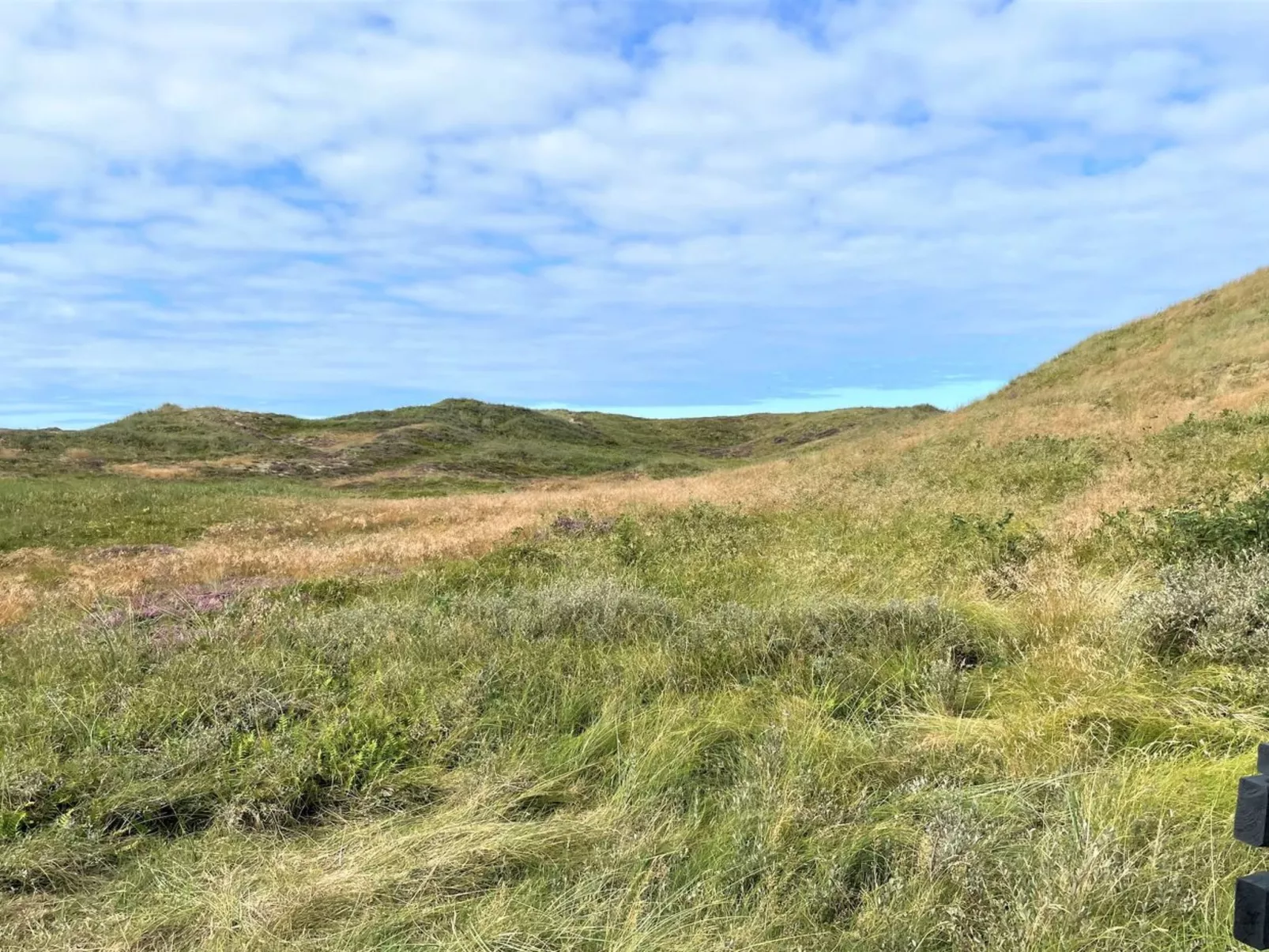 "Trugot" - 450m to the inlet-Outside