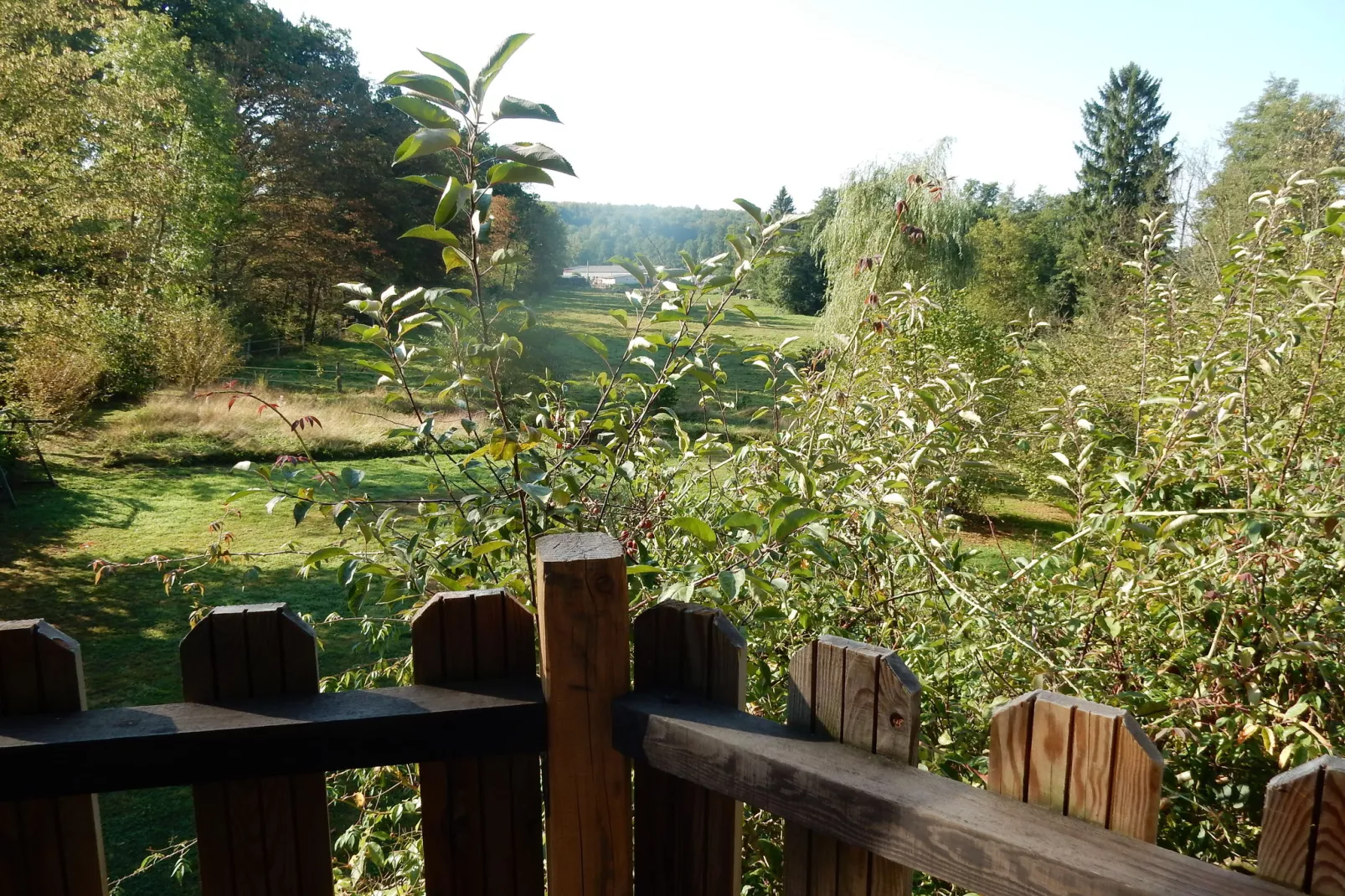Maison de vacances - Niderviller Loft-View summer