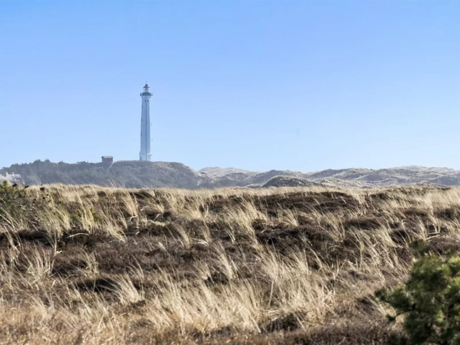 "Hen" - 400m from the sea-Outside
