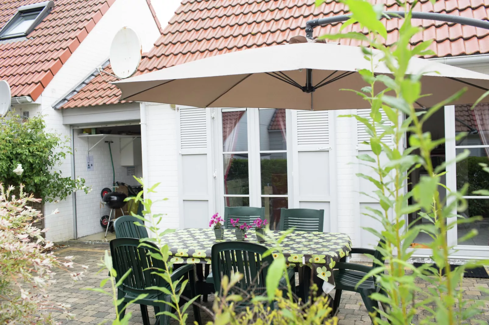 Sea Side 45-Gardens summer