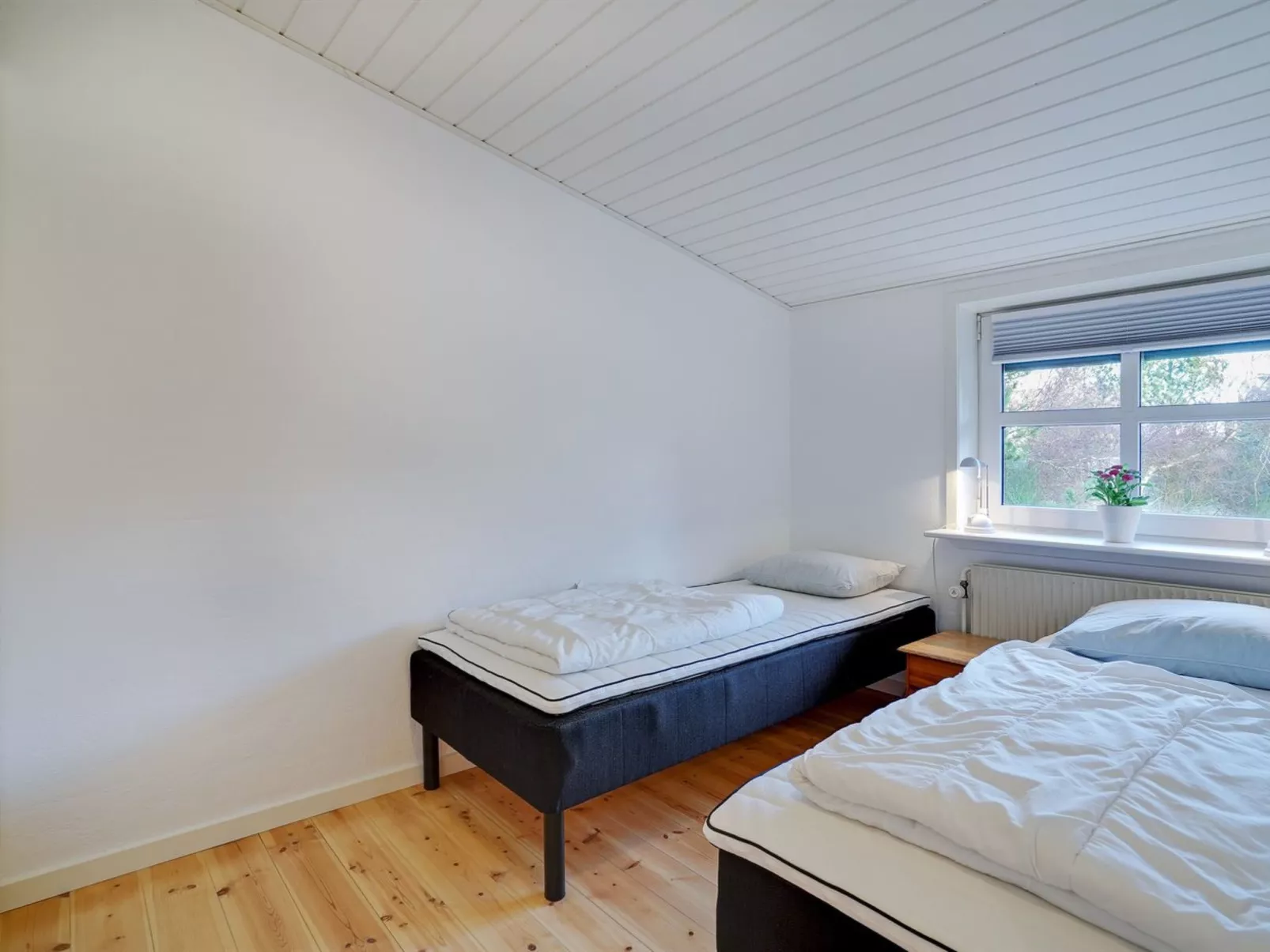 "Pelle" - 800m from the sea-Inside