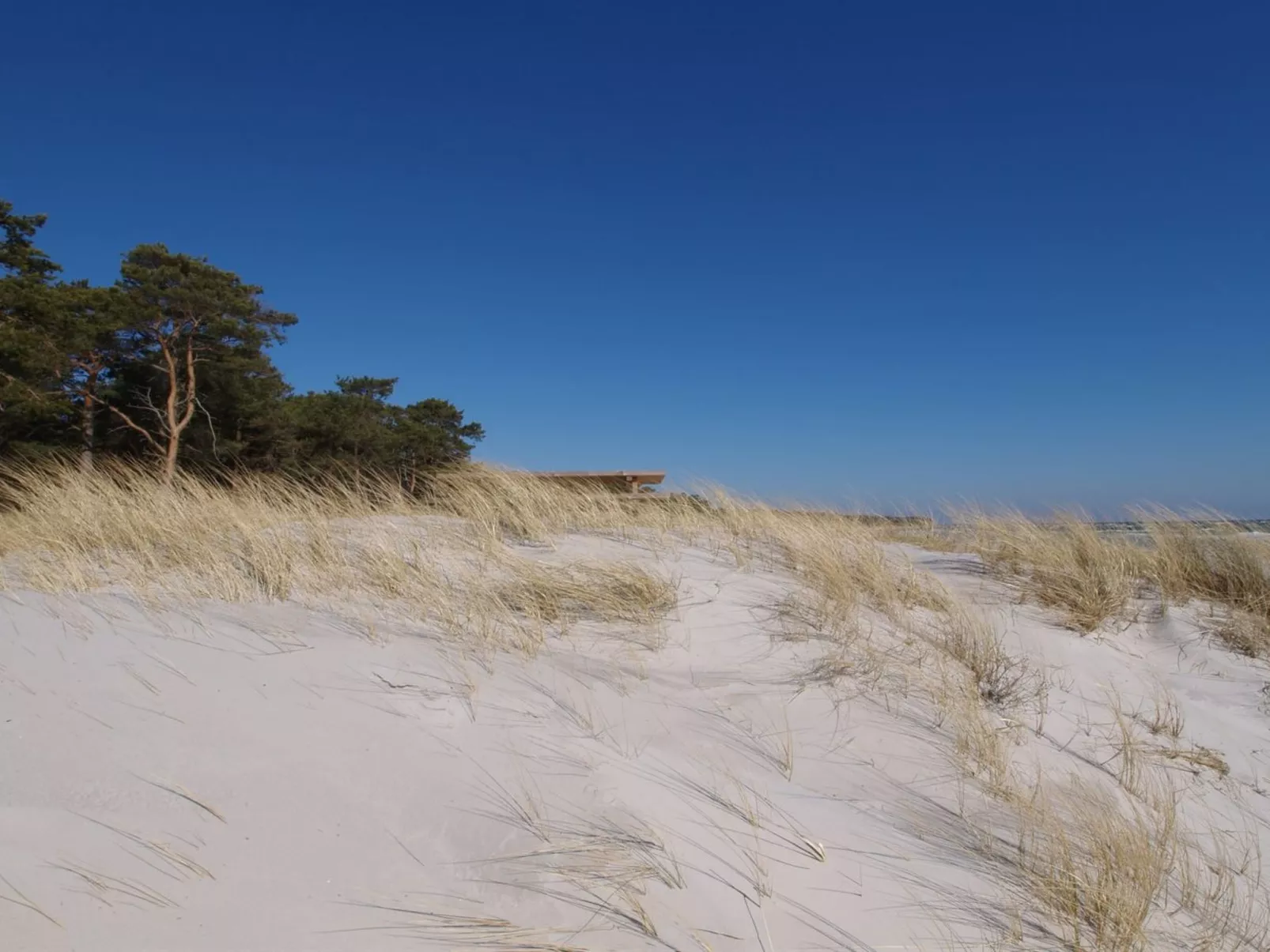 "Klak" - 100m from the sea-Outside