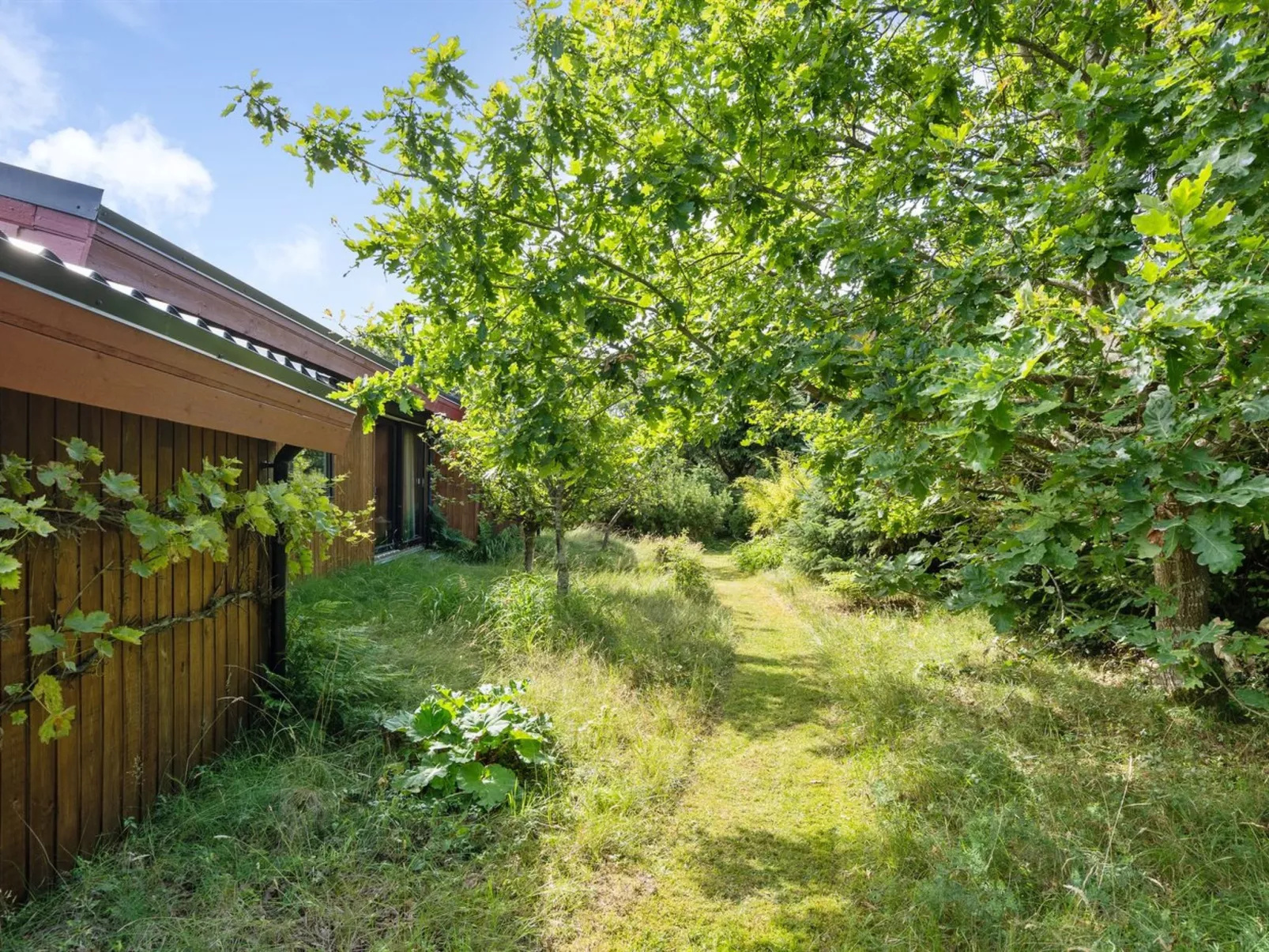 "Sune" - 500m from the sea-Outside