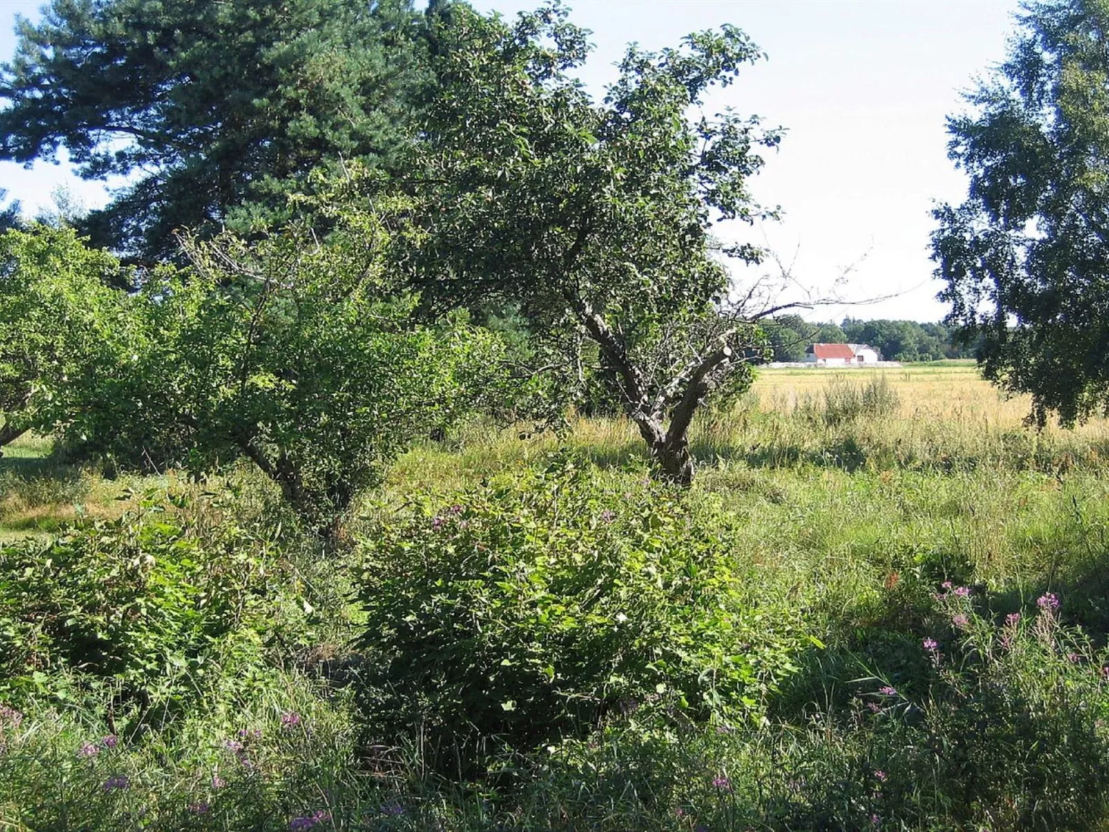 "Ema" - 5km from the sea-Inside