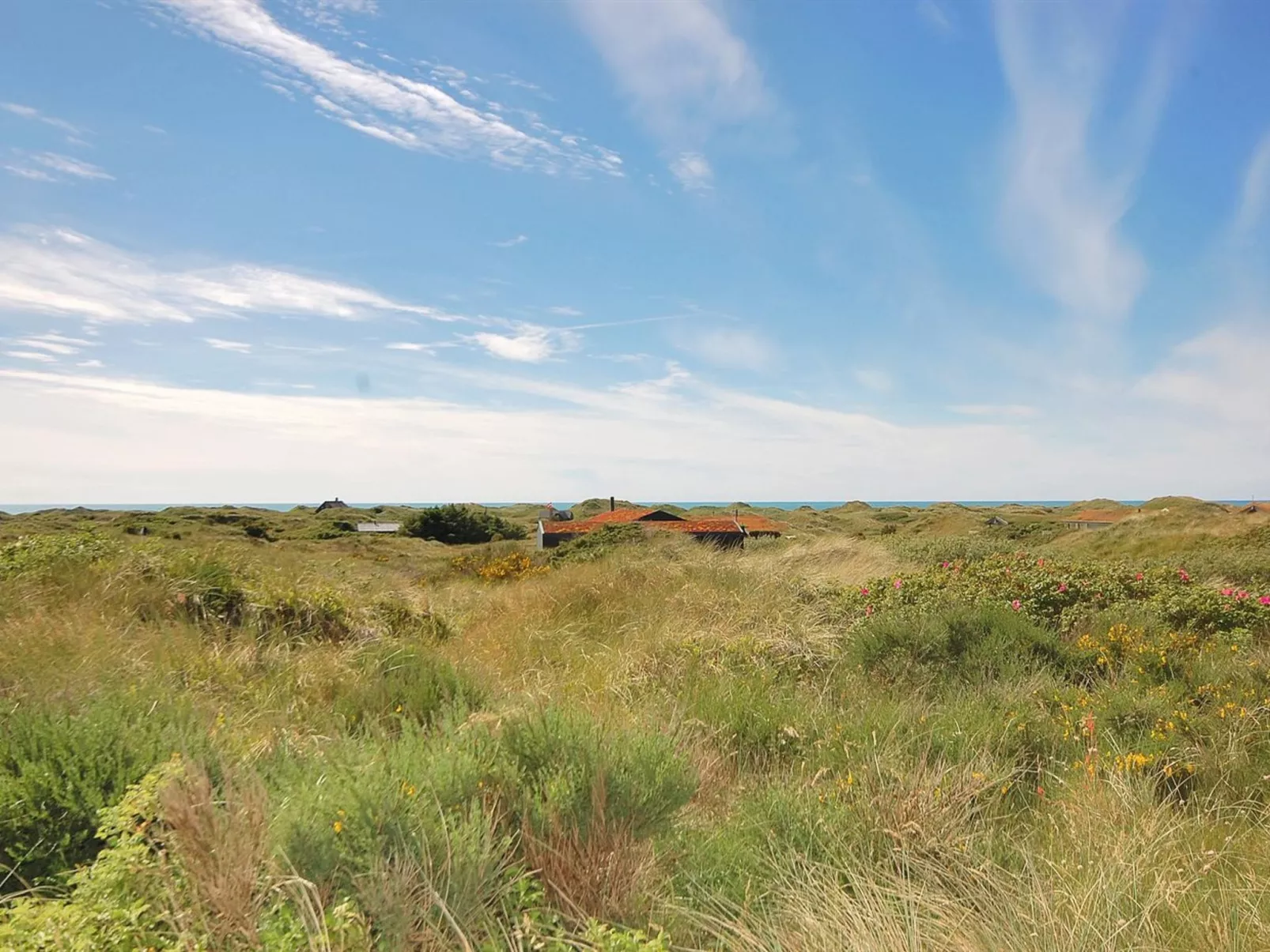 "Ehawee" - 350m from the sea-Outside